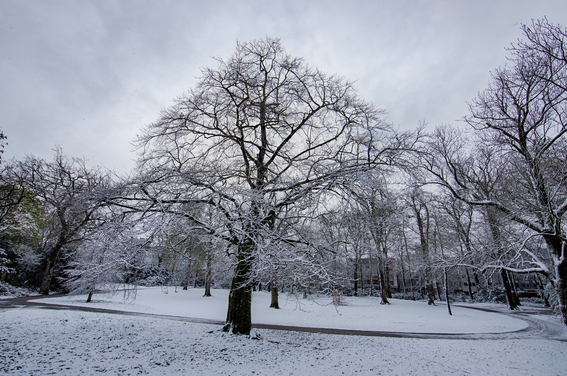 IMG_1055_HDR.jpg