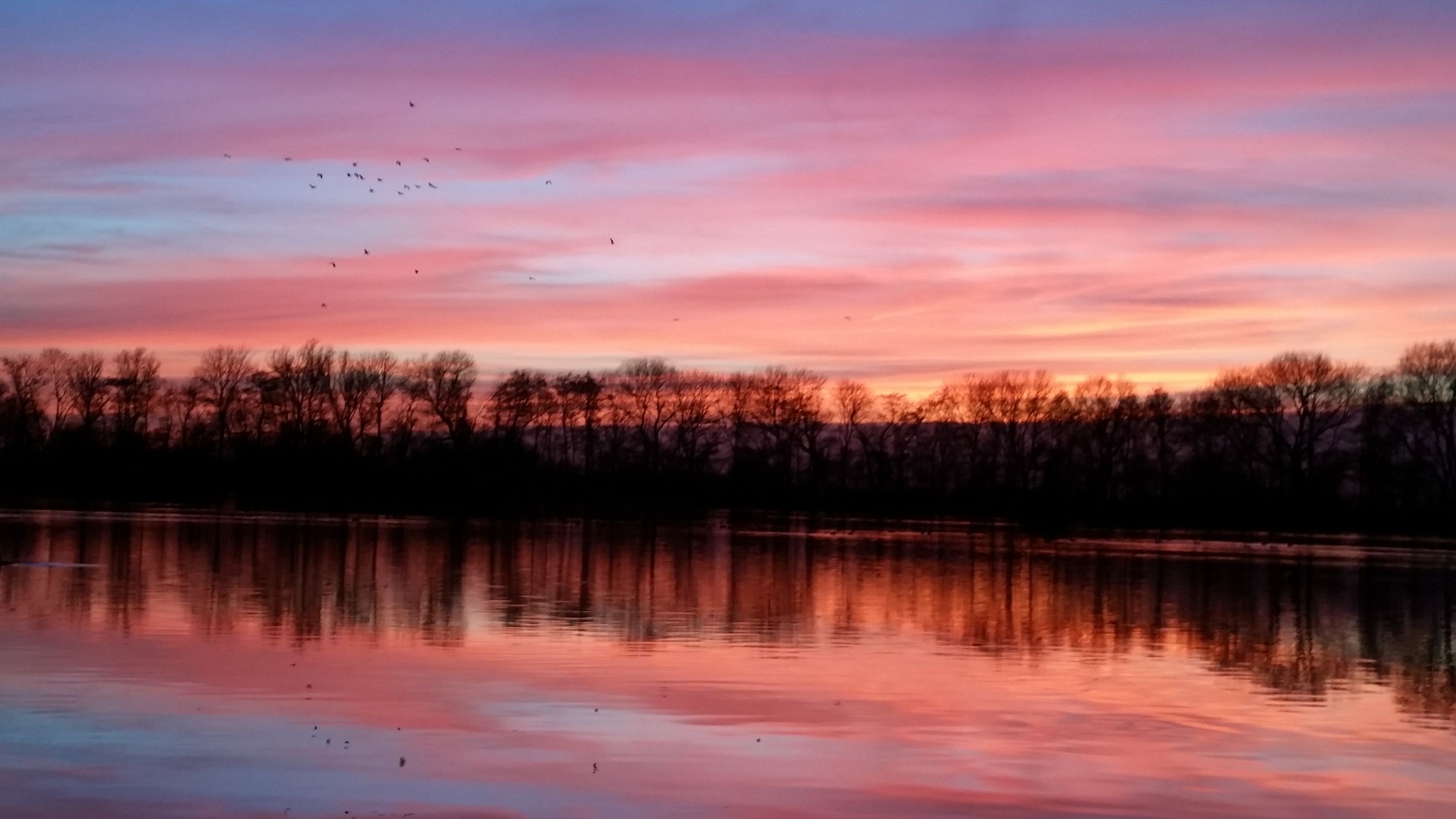 20150305_184655.jpg