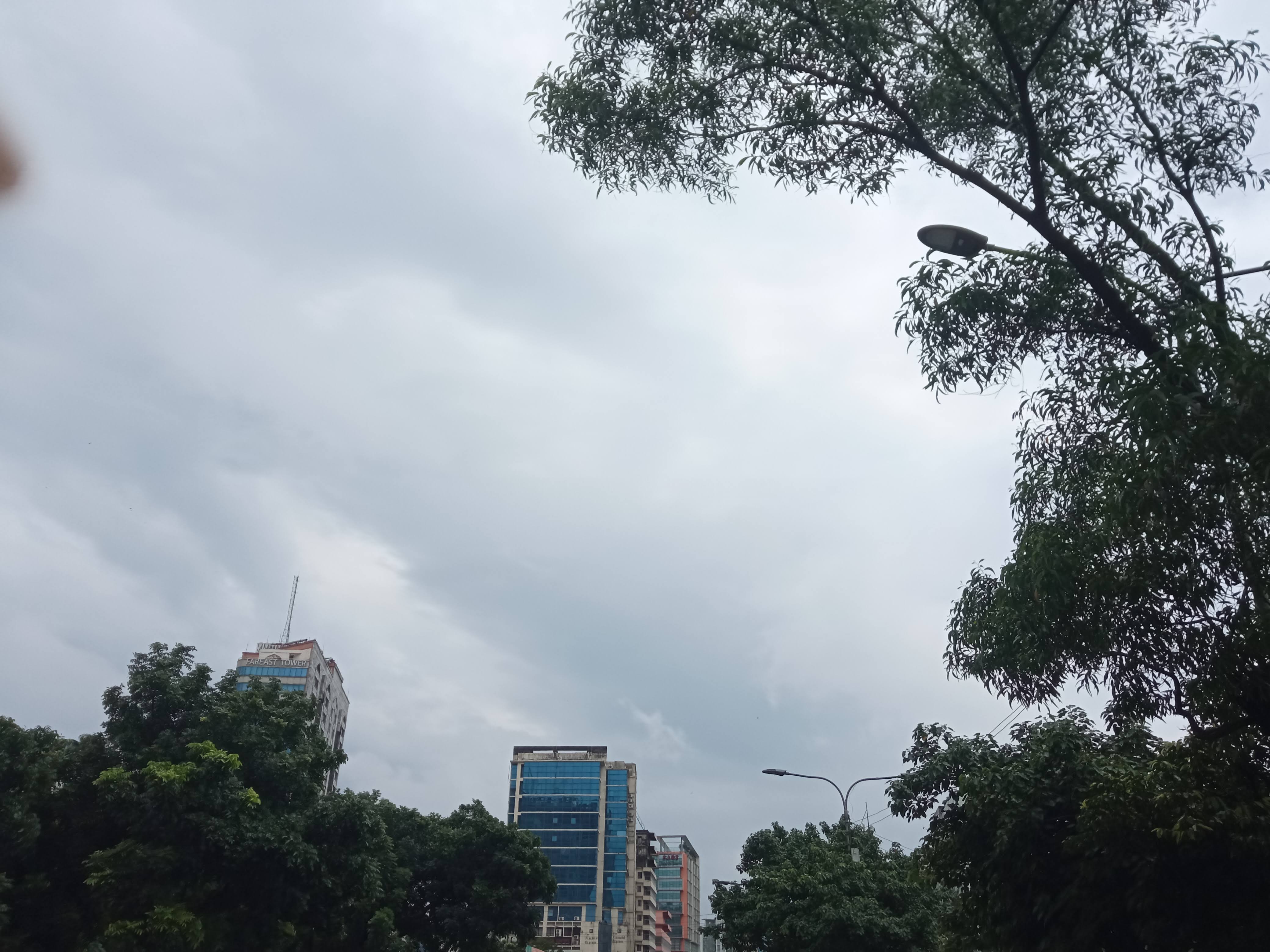 IMG_20210727_101525.jpg