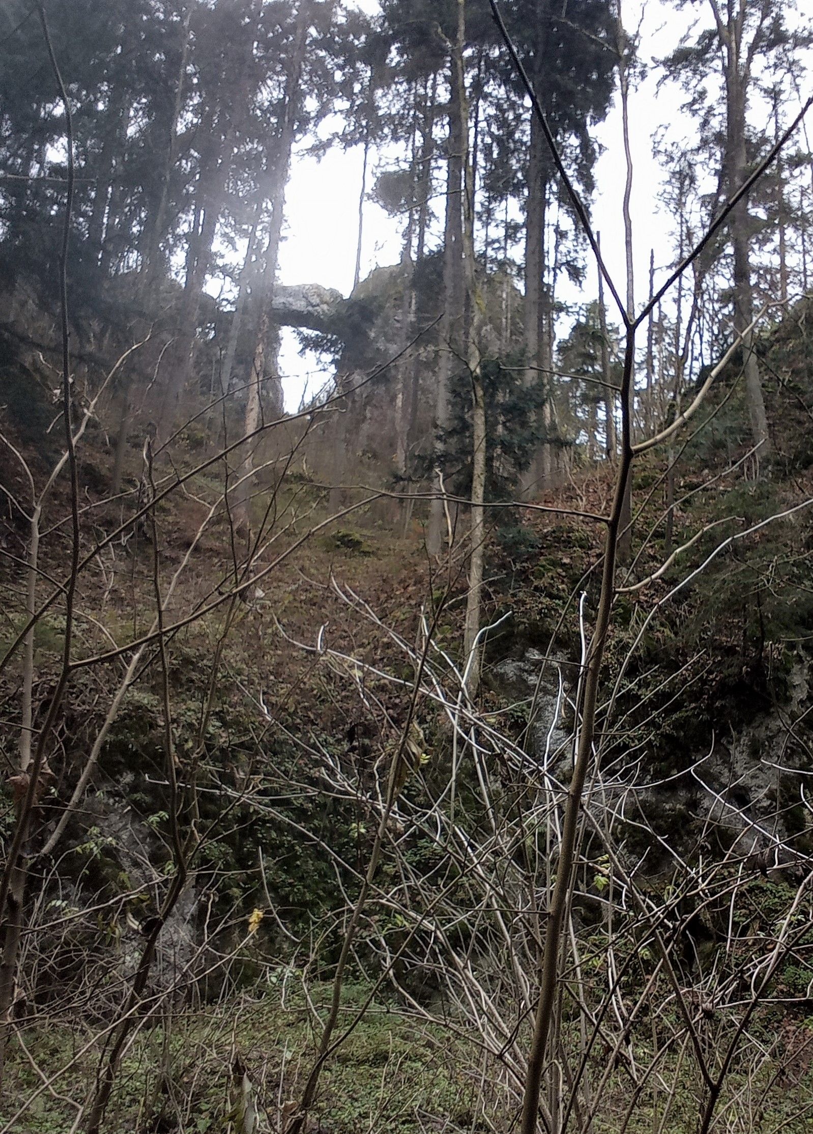 IMG_20221117_125057.jpg