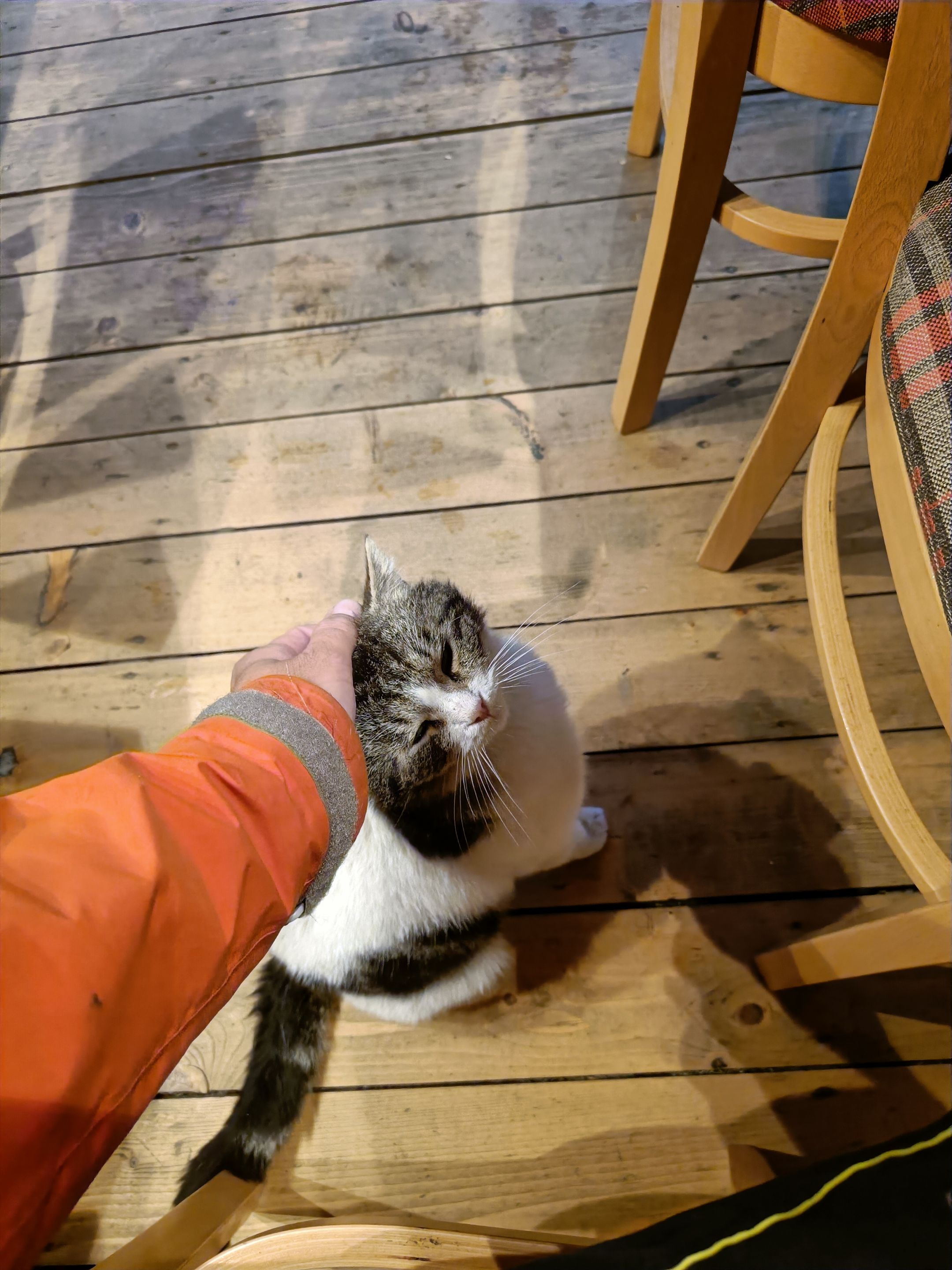 IMG20220608194010.jpg