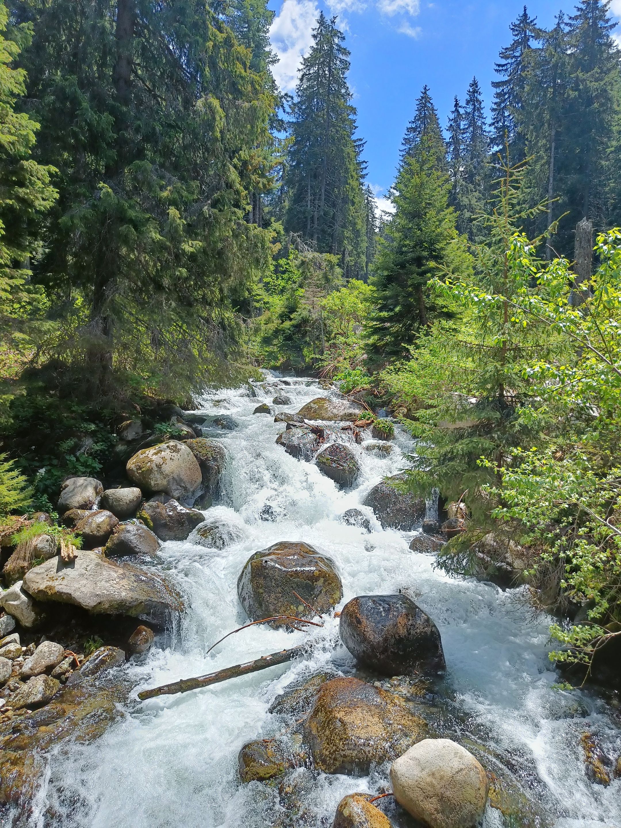 IMG20220605134106.jpg