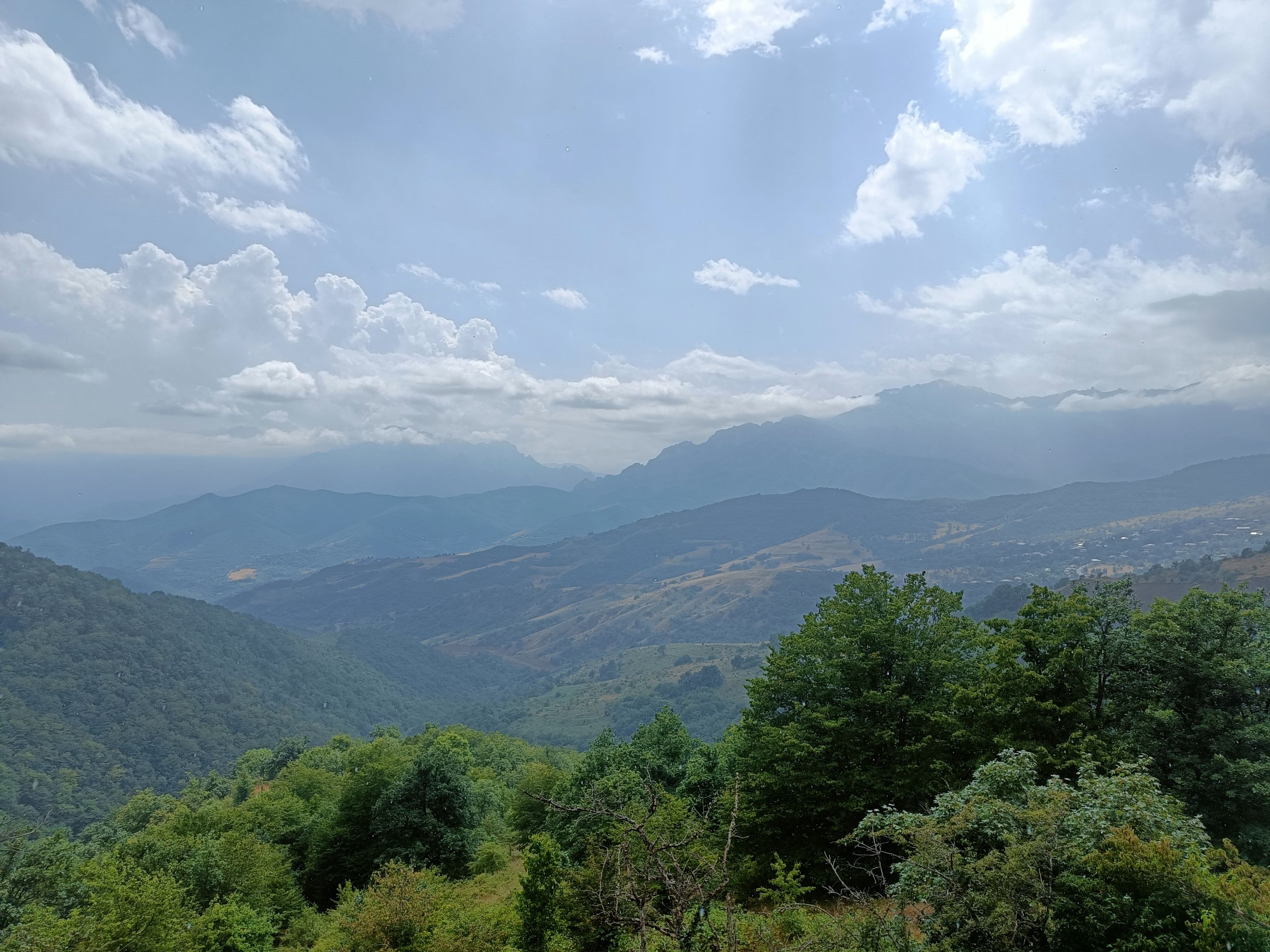 IMG20220731142756.jpg