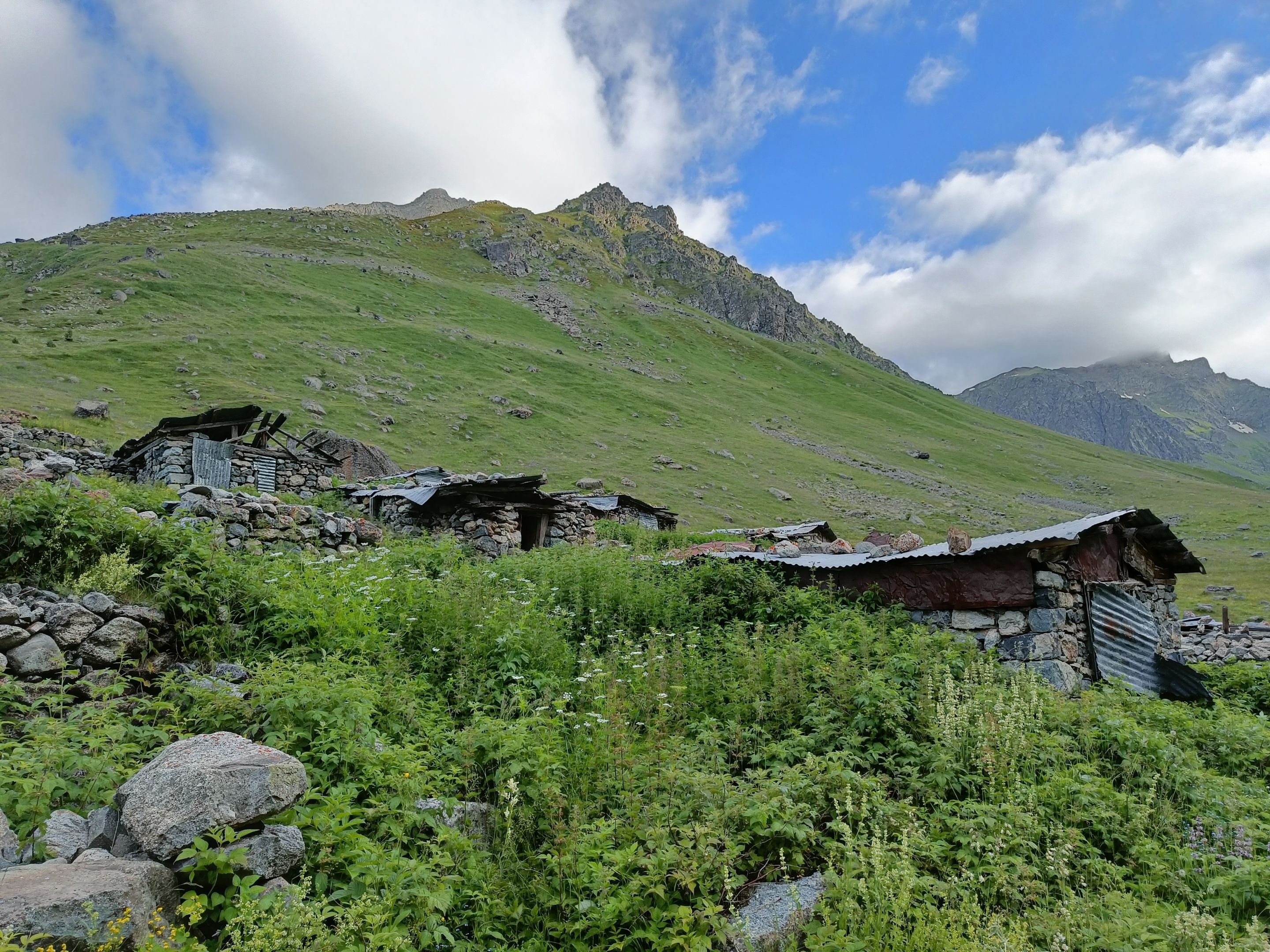 IMG20220714173541.jpg