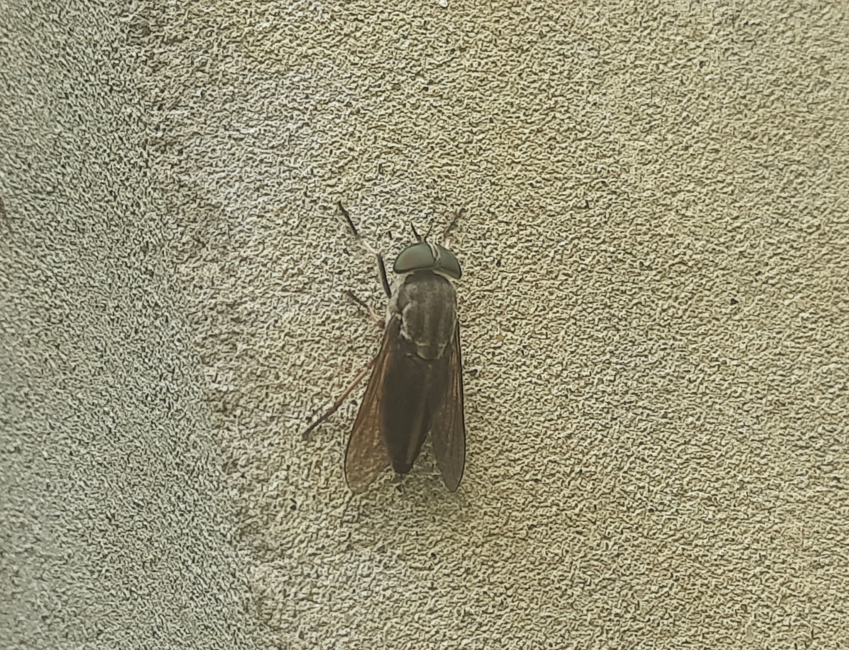 20250812_140202.jpg