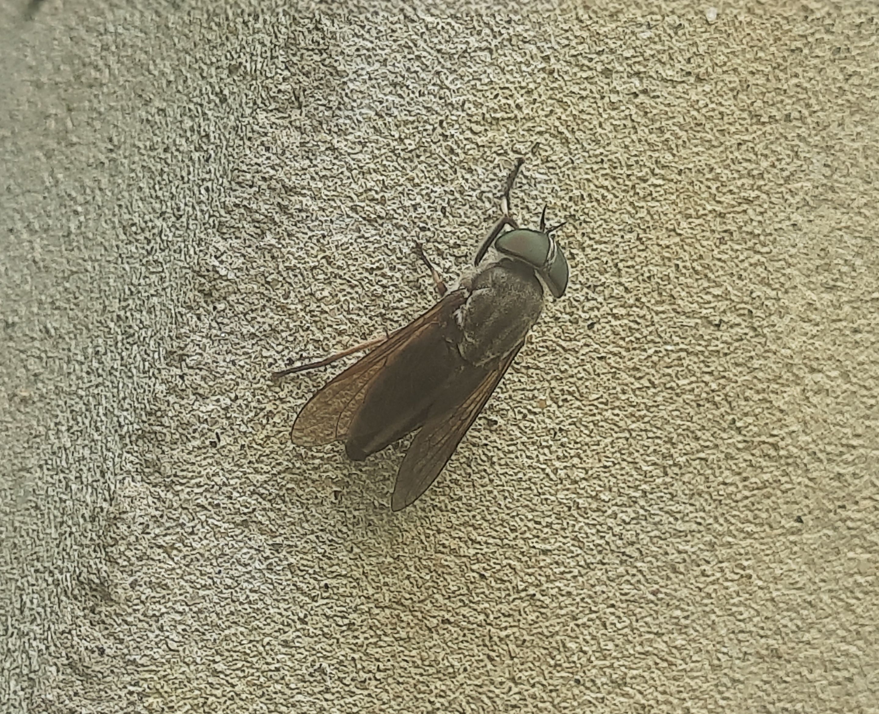 20250812_140207.jpg