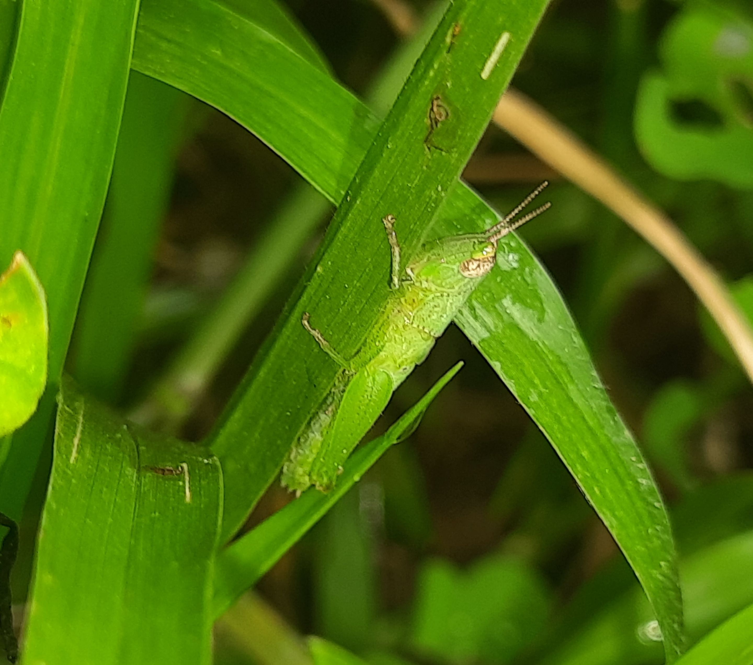 20250720_133139.jpg