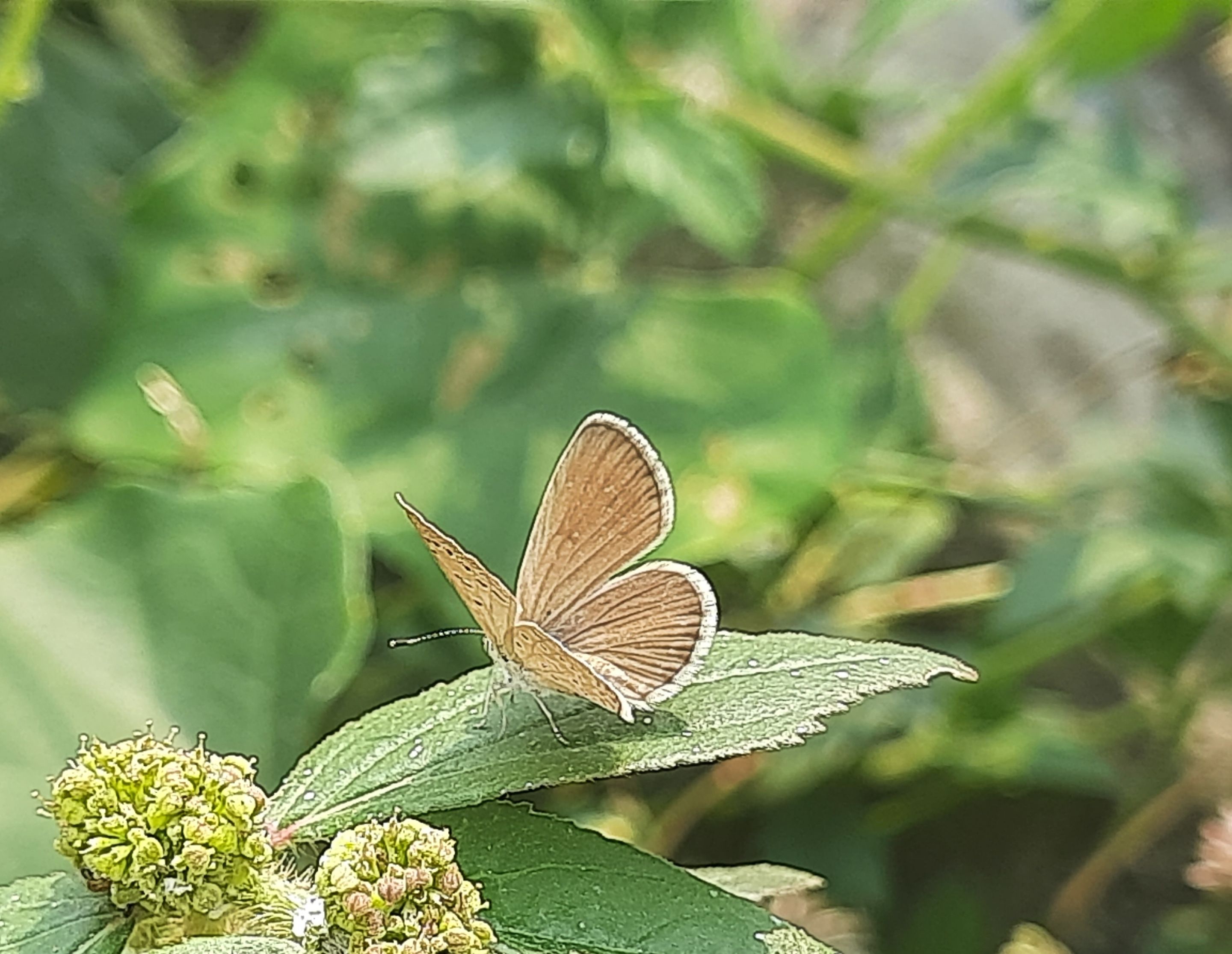 20250429_140612.jpg