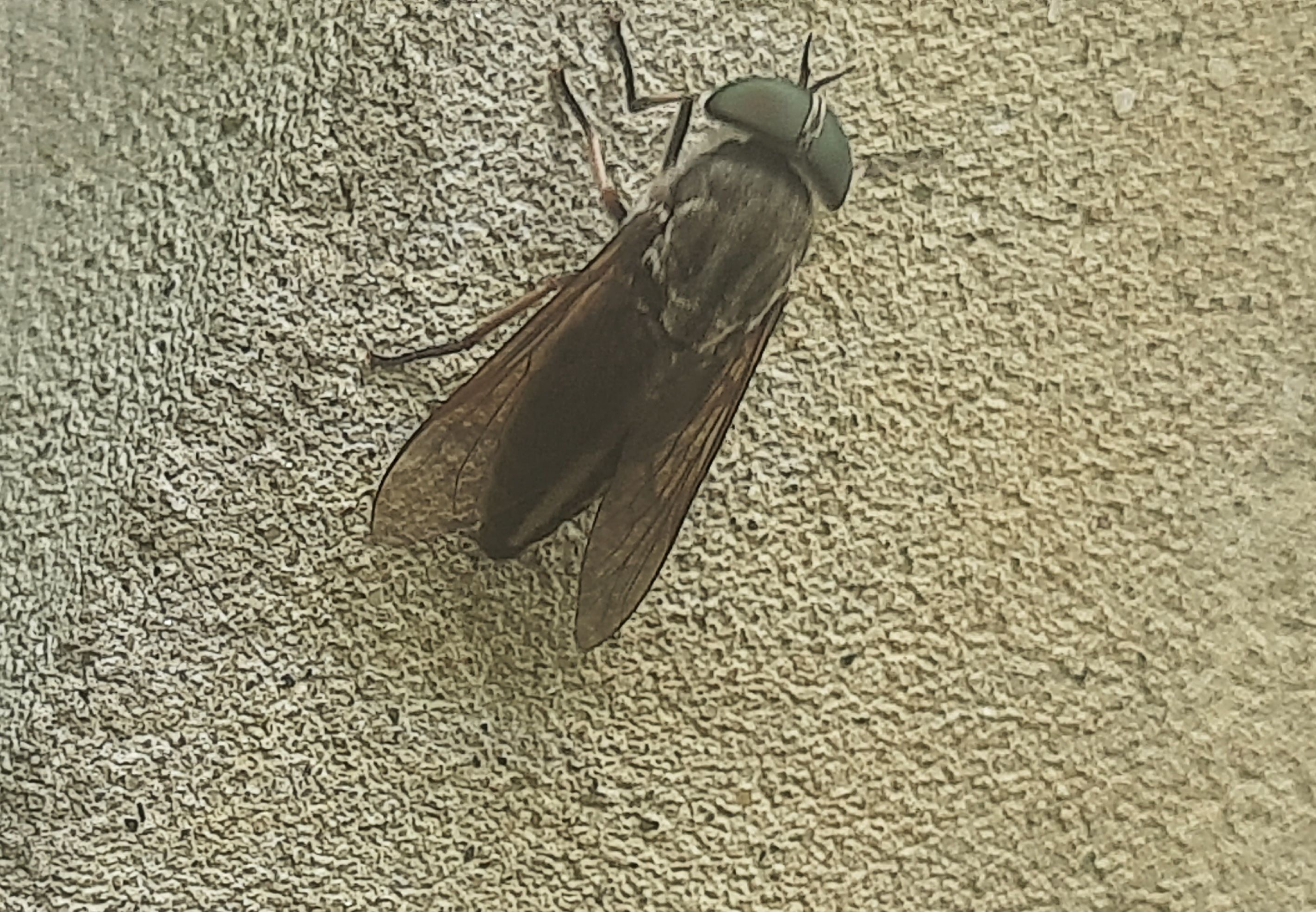 20250812_140210.jpg