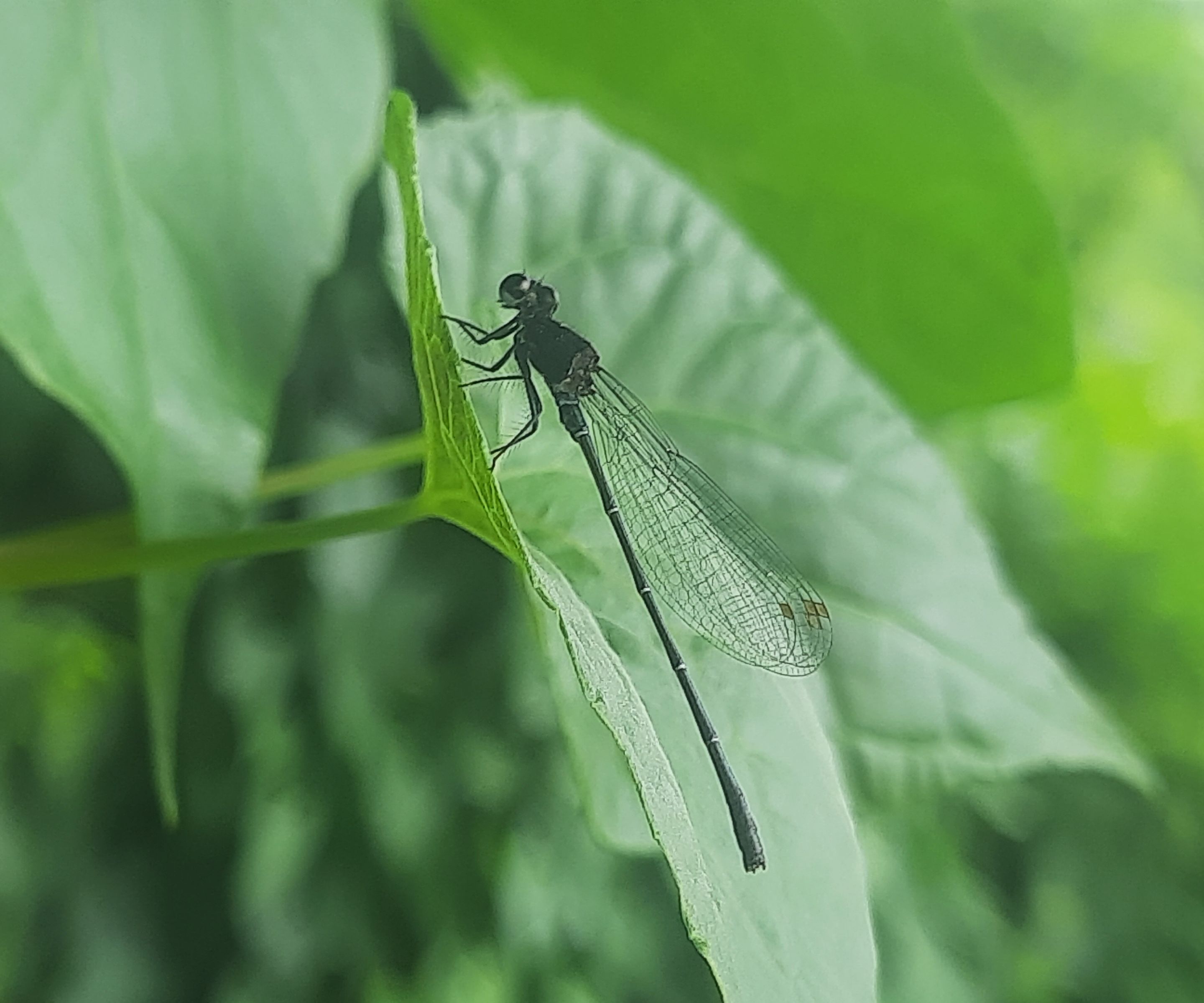 20250706_151833.jpg