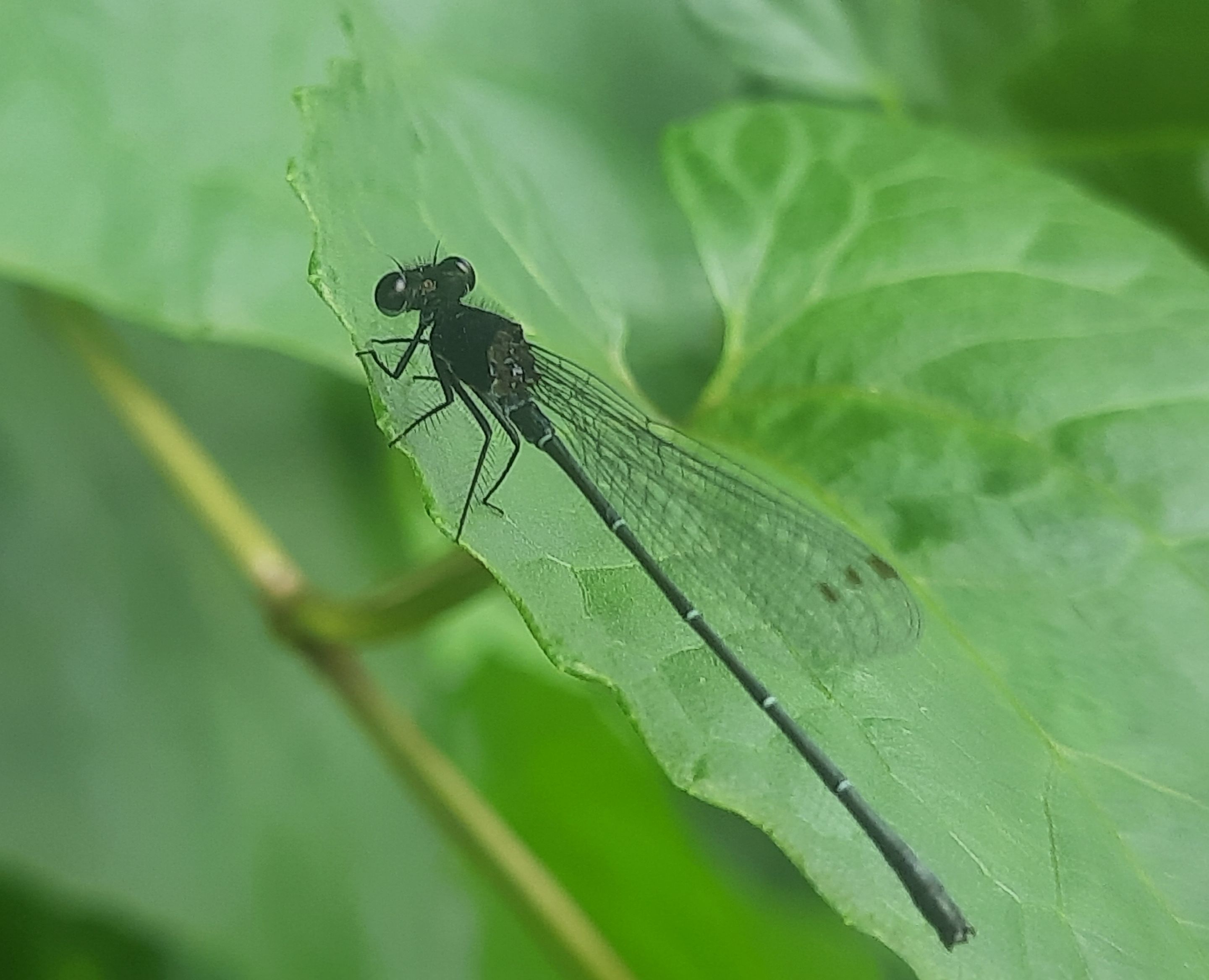 20250706_151855.jpg