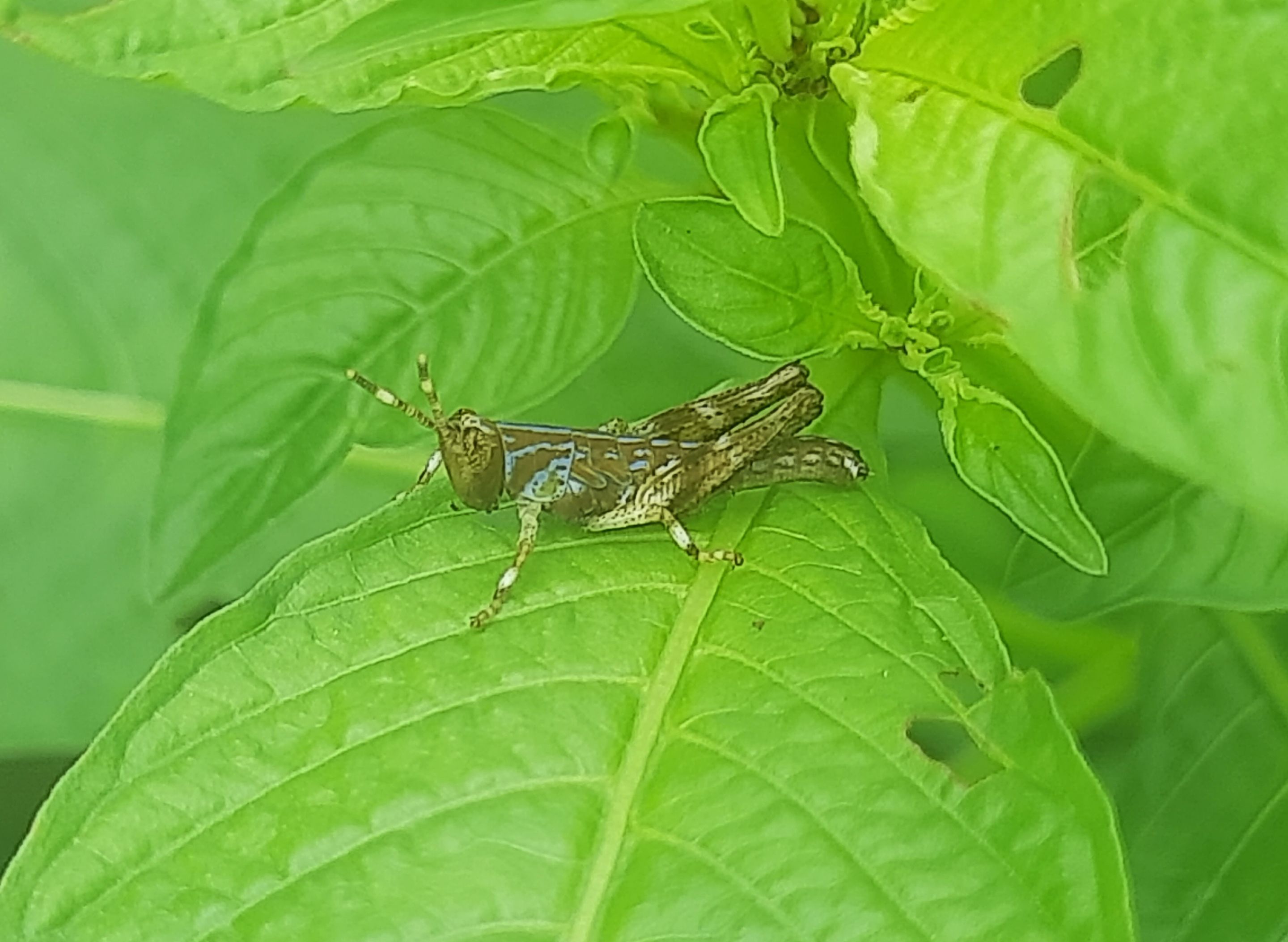 20250812_135513.jpg