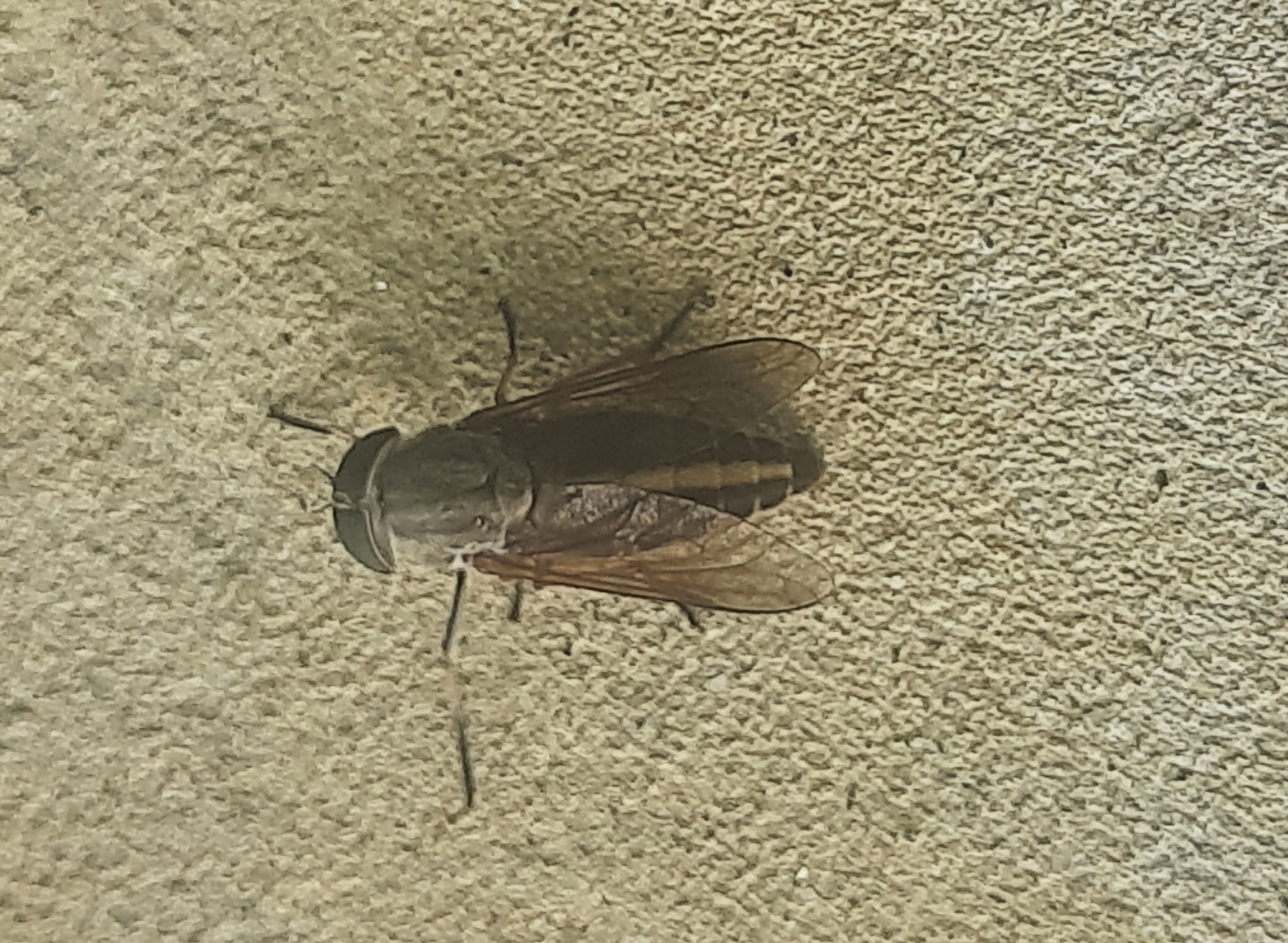 20250812_140219.jpg