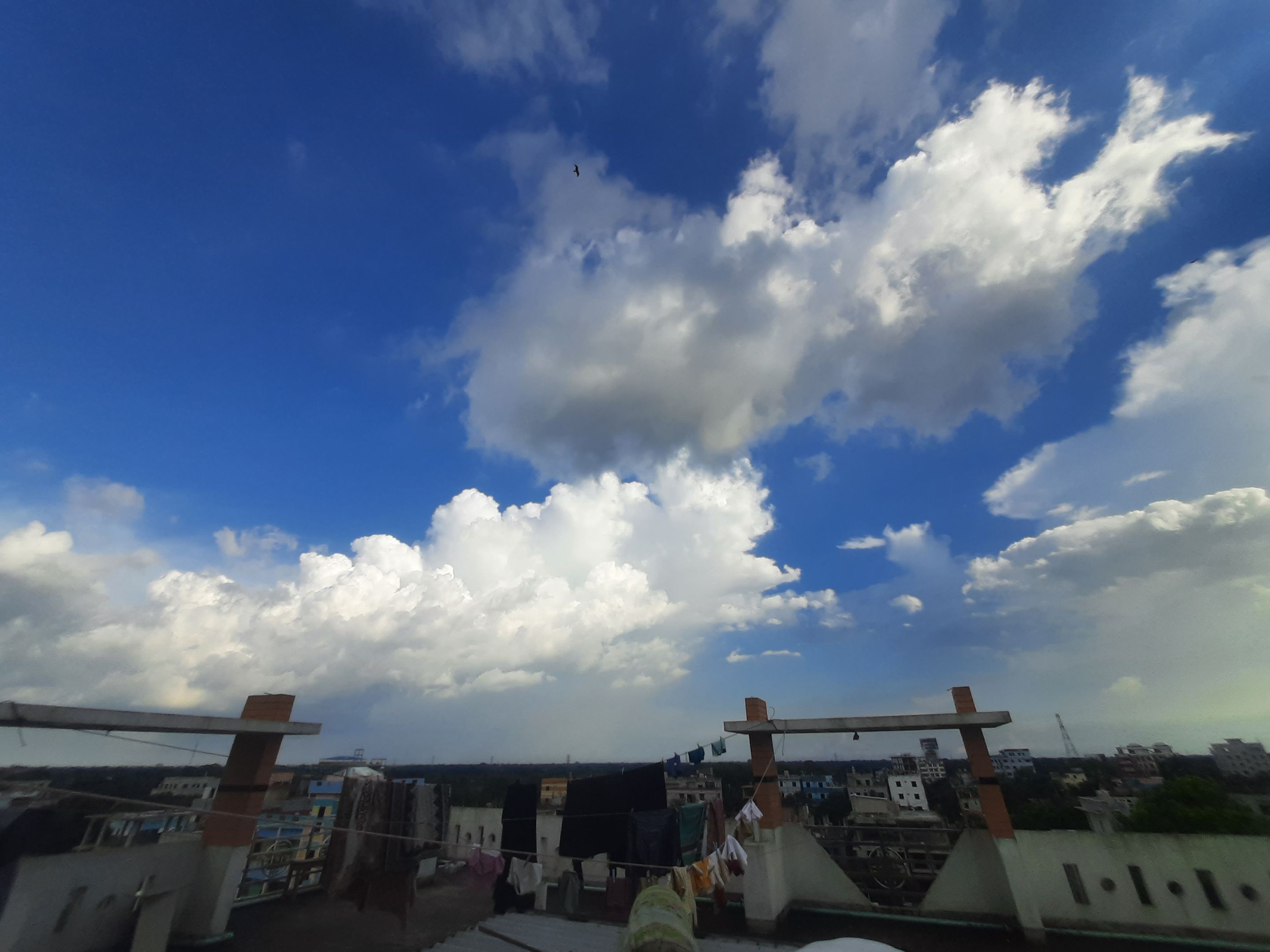20250815_162125.jpg