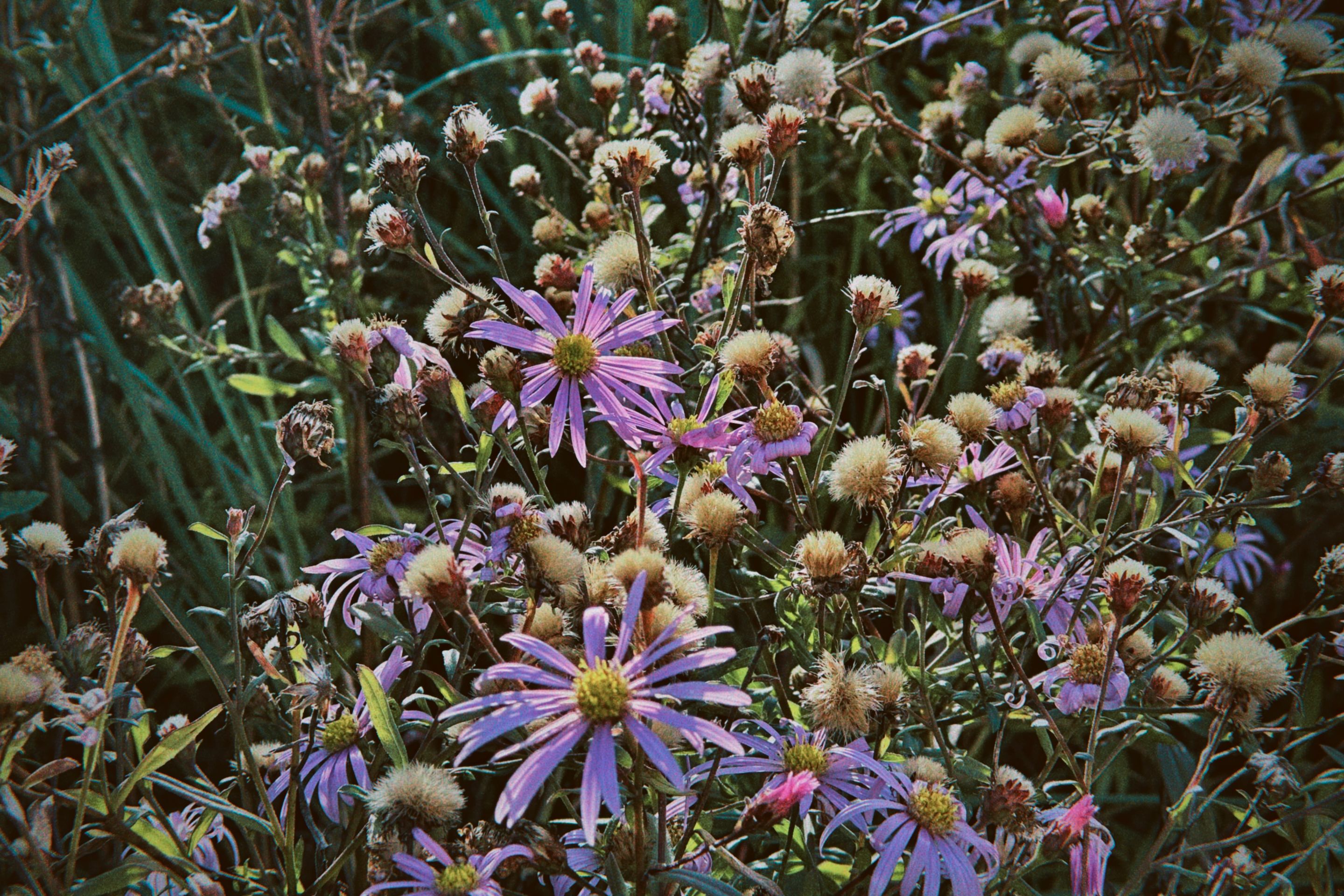 dfuns 2025-10-23 162815.352.jpg