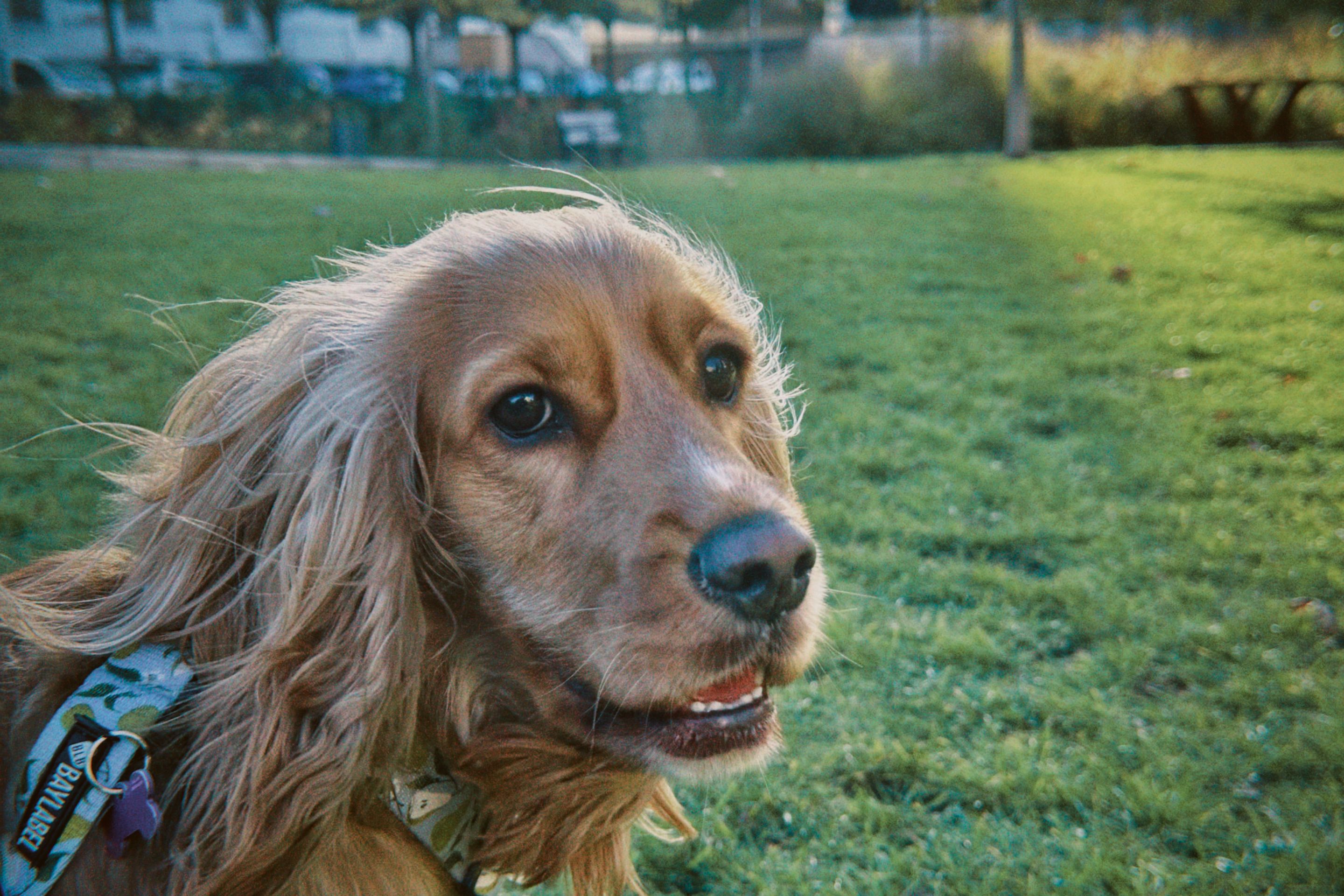 dfuns 2025-10-23 172617.494.JPG