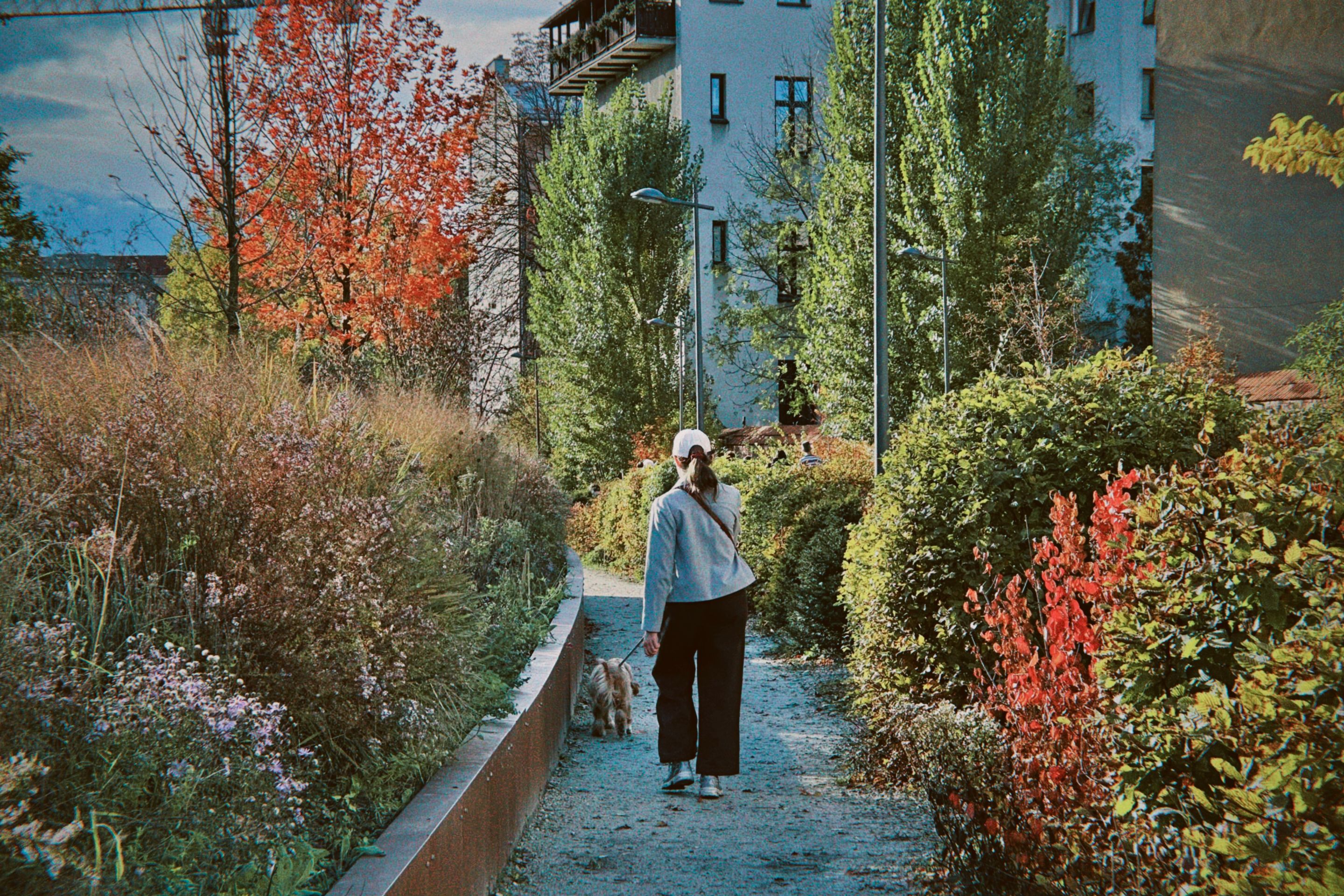 dfuns 2025-10-23 162730.822.jpg