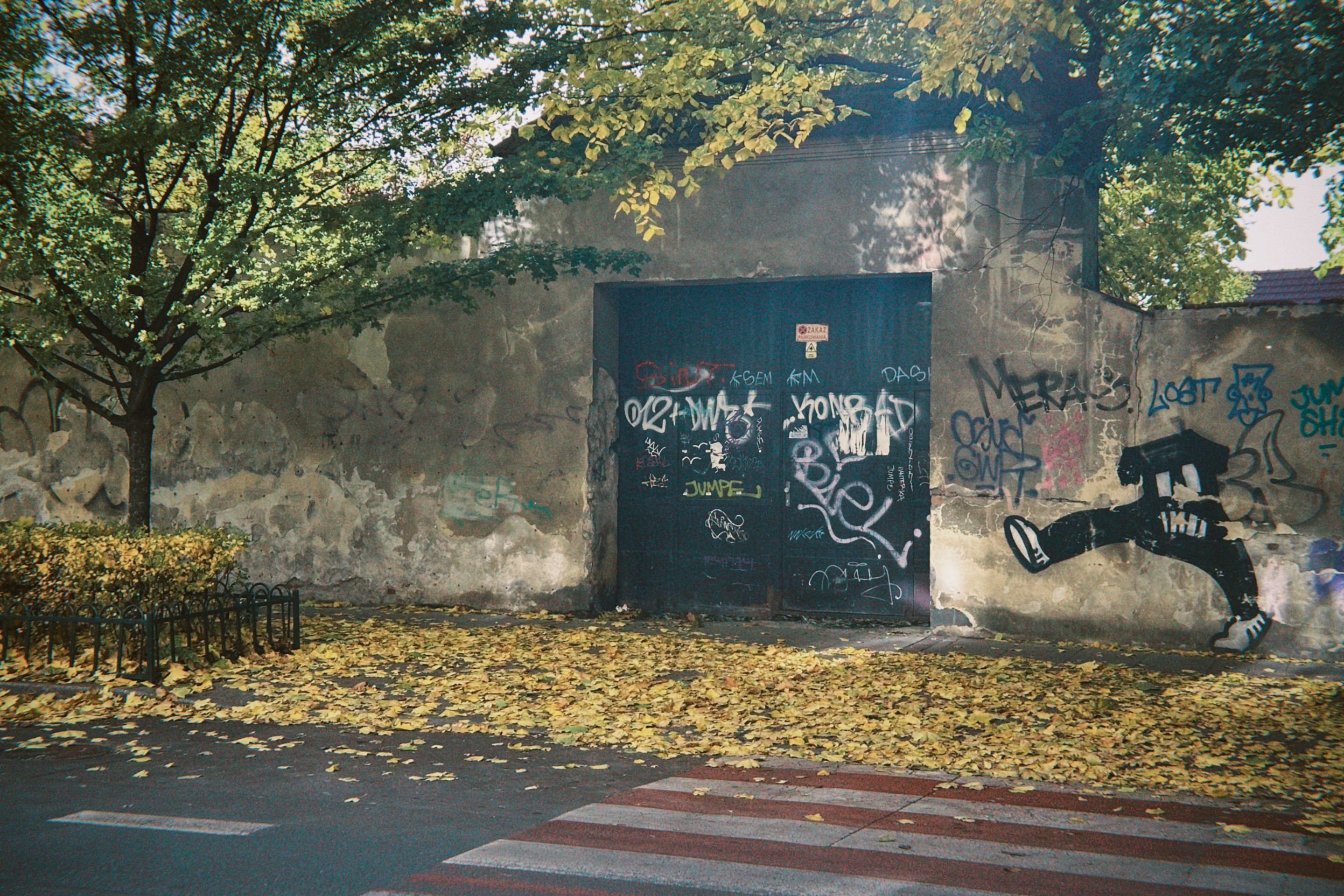 dfuns 2025-10-23 162349.797.JPG