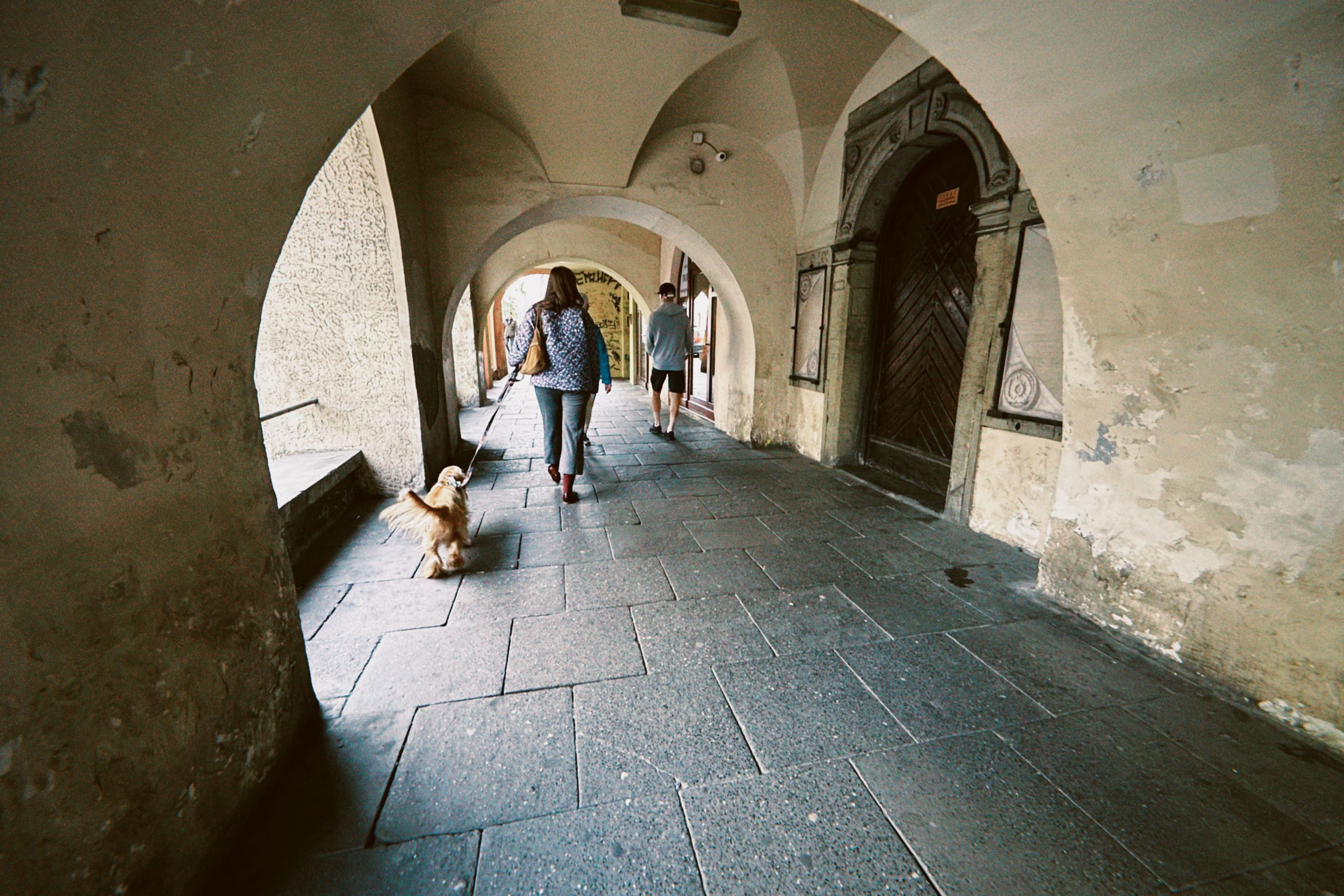 dfuns 2025-10-05 174915.414.jpg