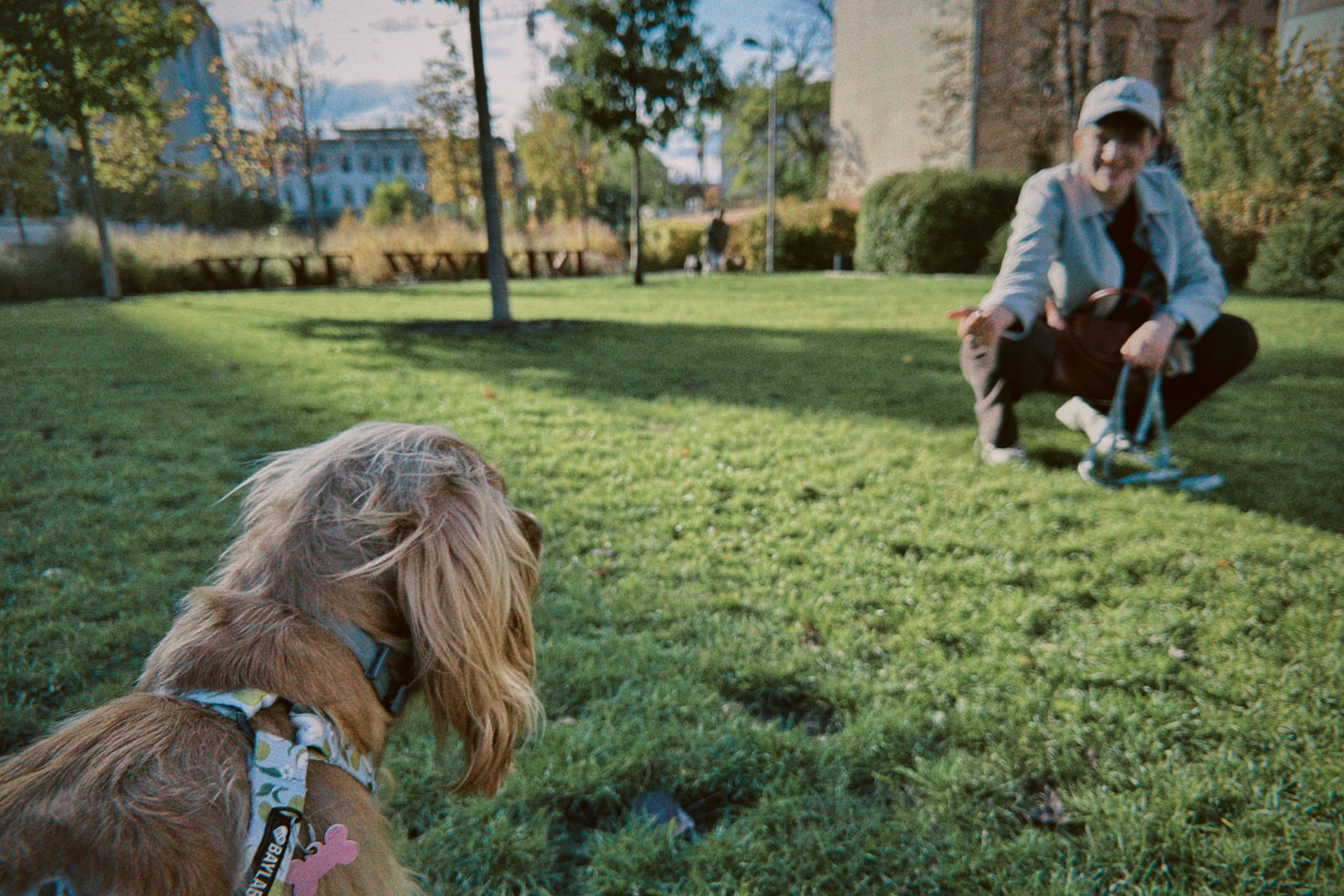 dfuns 2025-10-23 172617.683.JPG