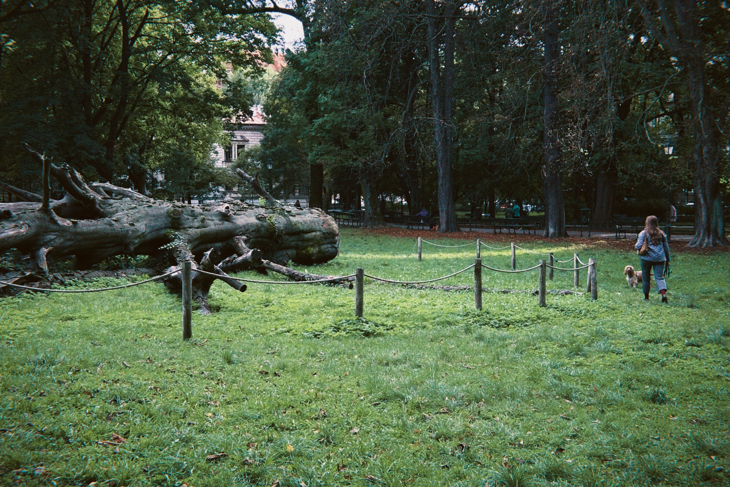 dfuns 2025-10-05 174914.237.jpg