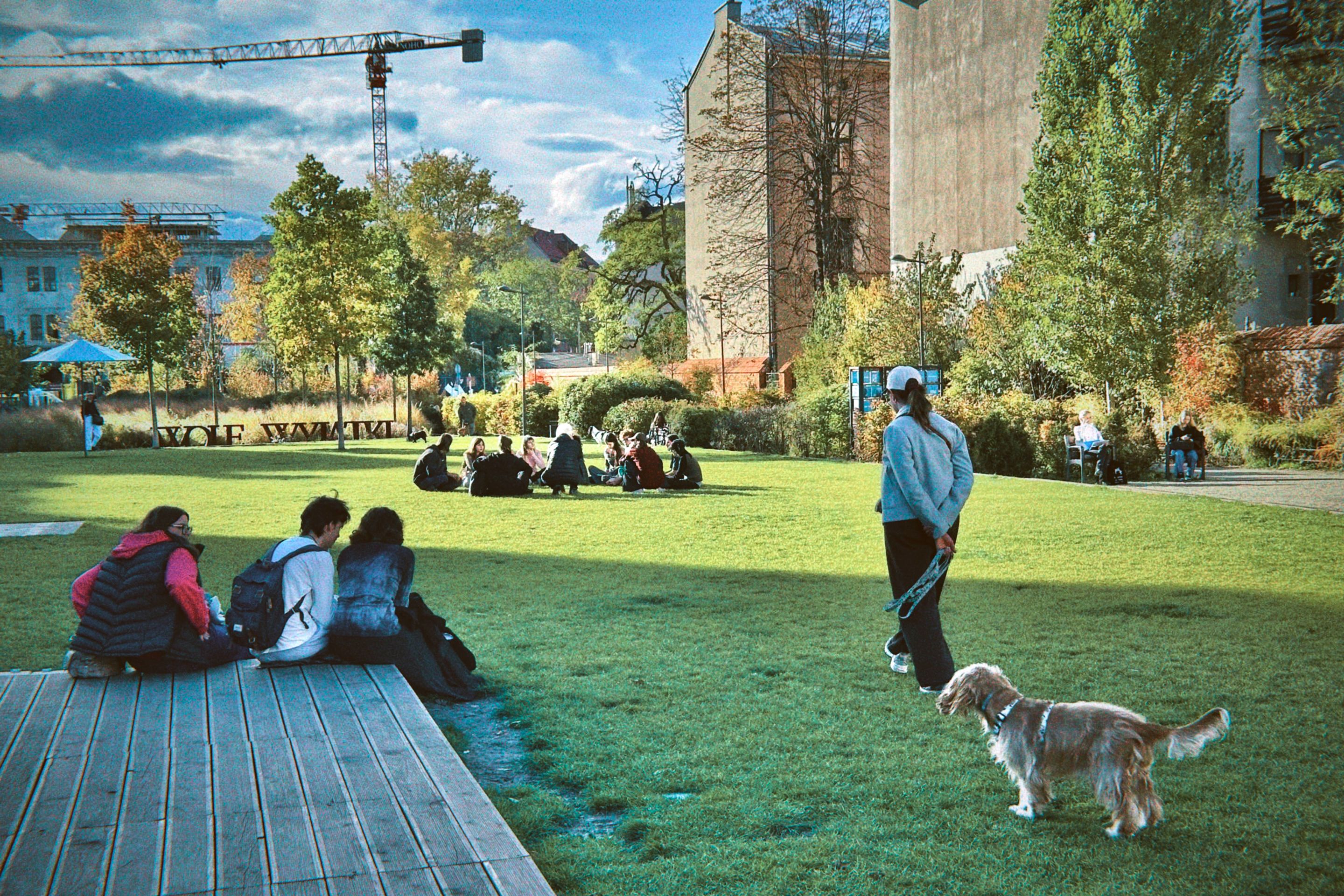 dfuns 2025-10-23 162944.107.jpg