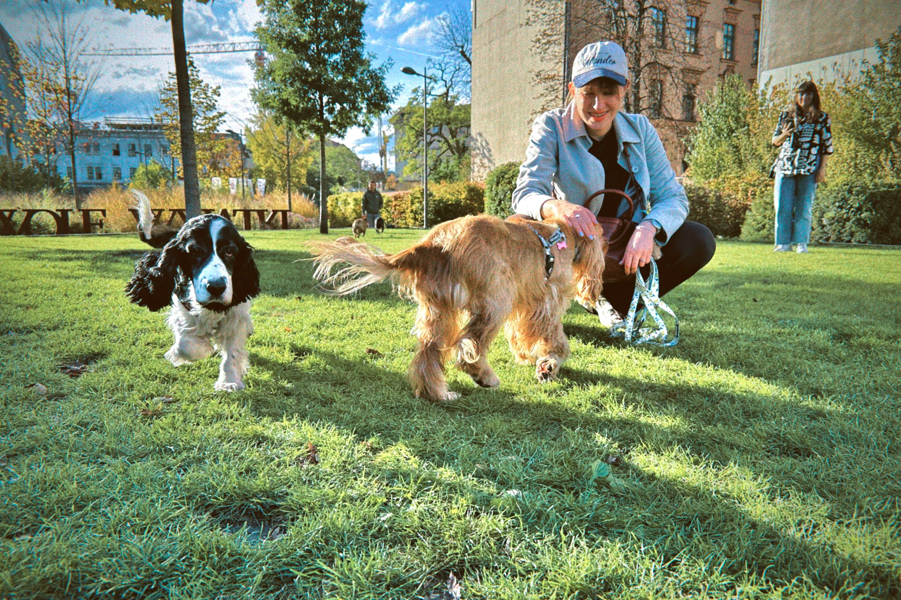 dfuns 2025-10-23 163043.023.jpg