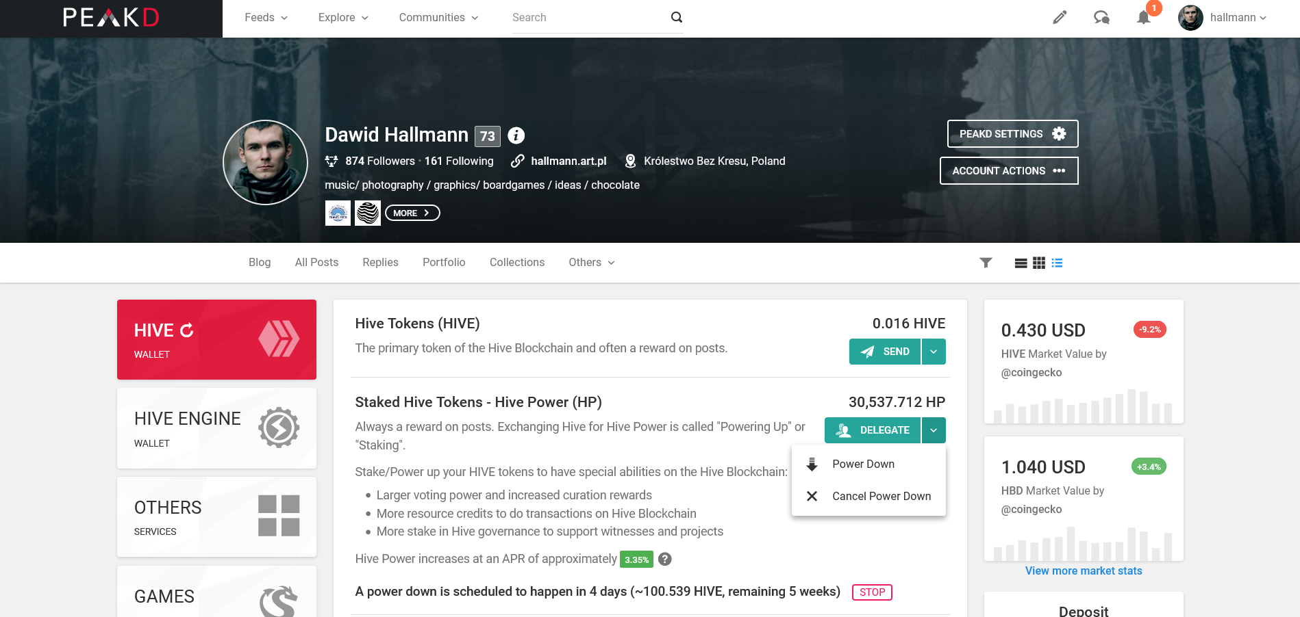 Screenshot_2021-06-05 Dawid Hallmann - hallmann PeakD.png