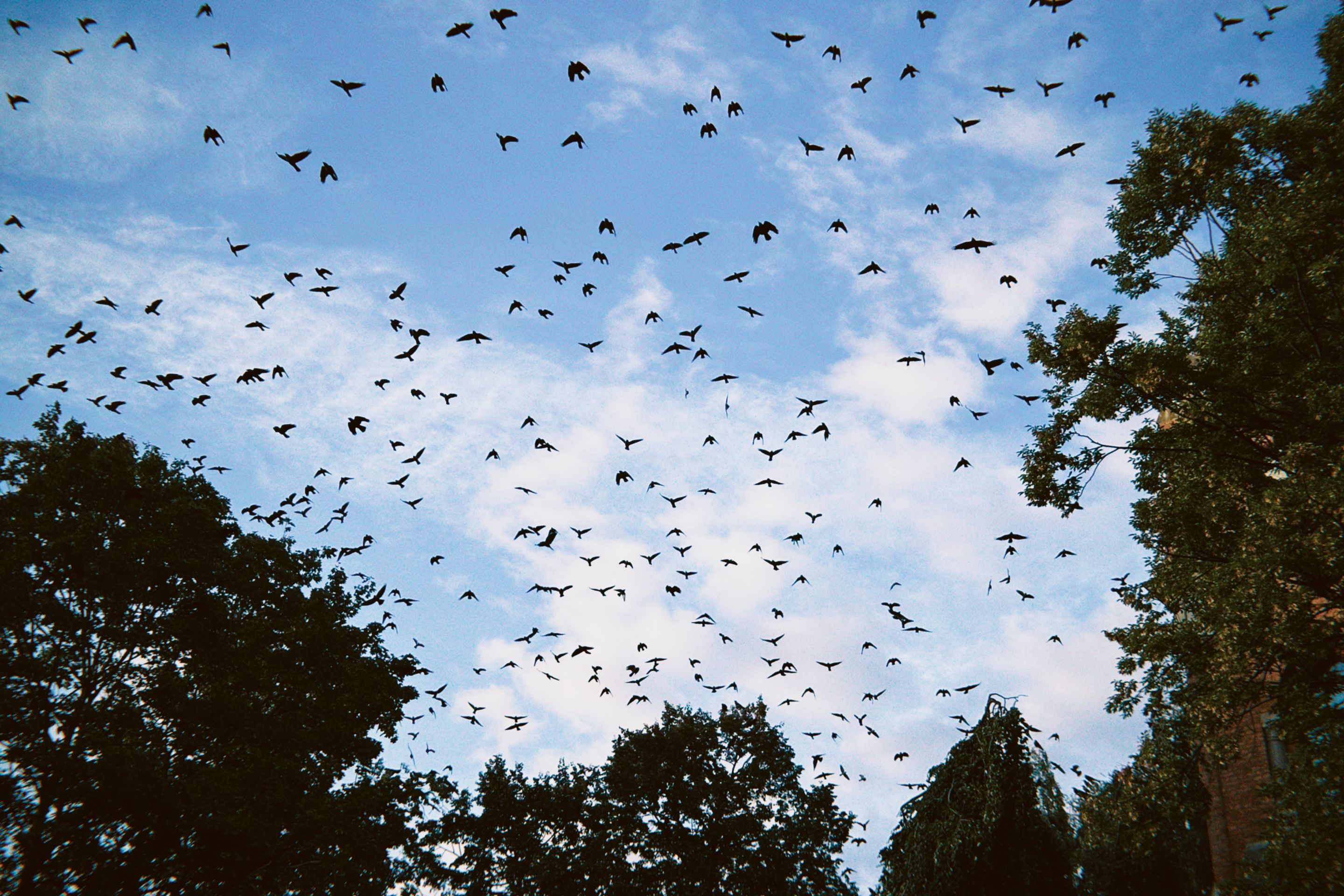 dfuns 2025-10-05 185151.152.jpg