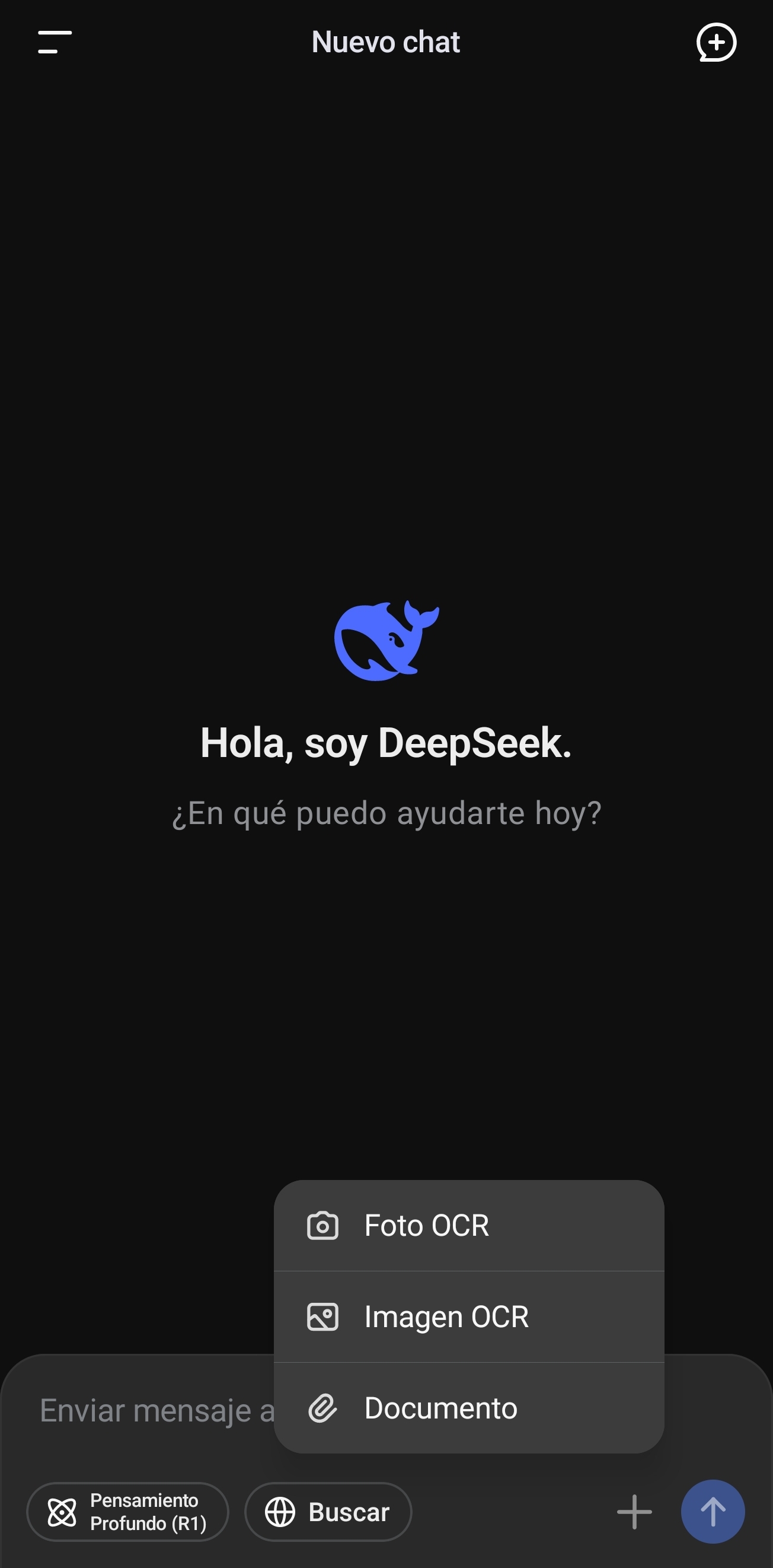Screenshot_20250608_233529_DeepSeek.jpg