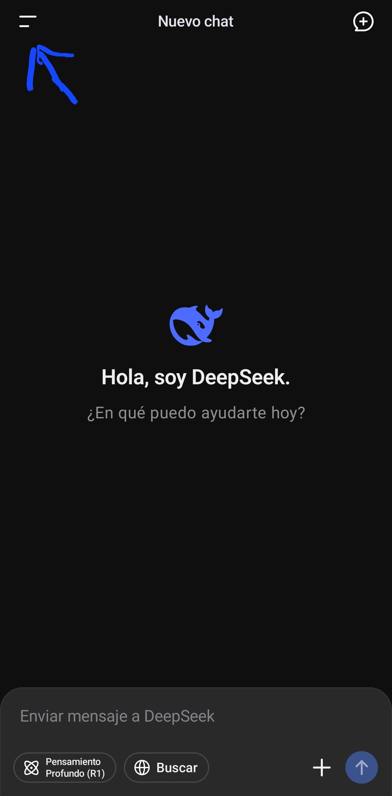 Screenshot_20250609_103401_DeepSeek.jpg