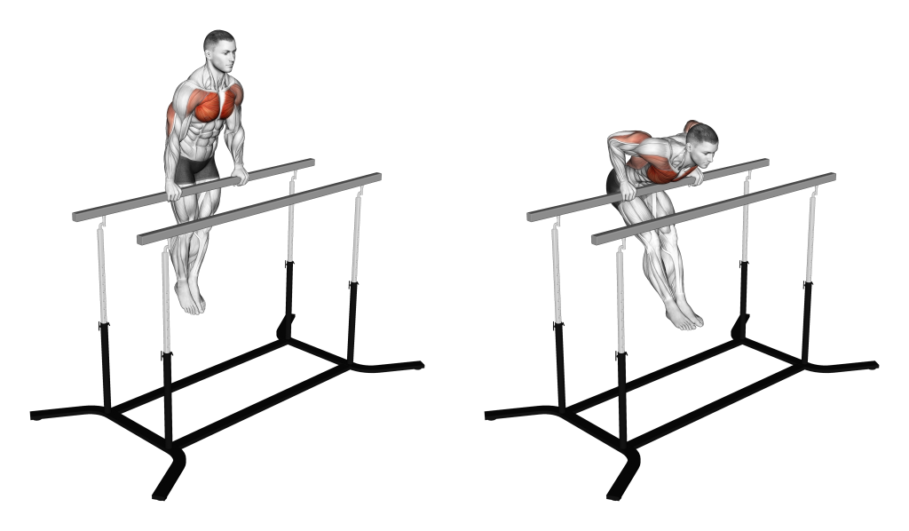 straight-bar-dips-1024x598.png