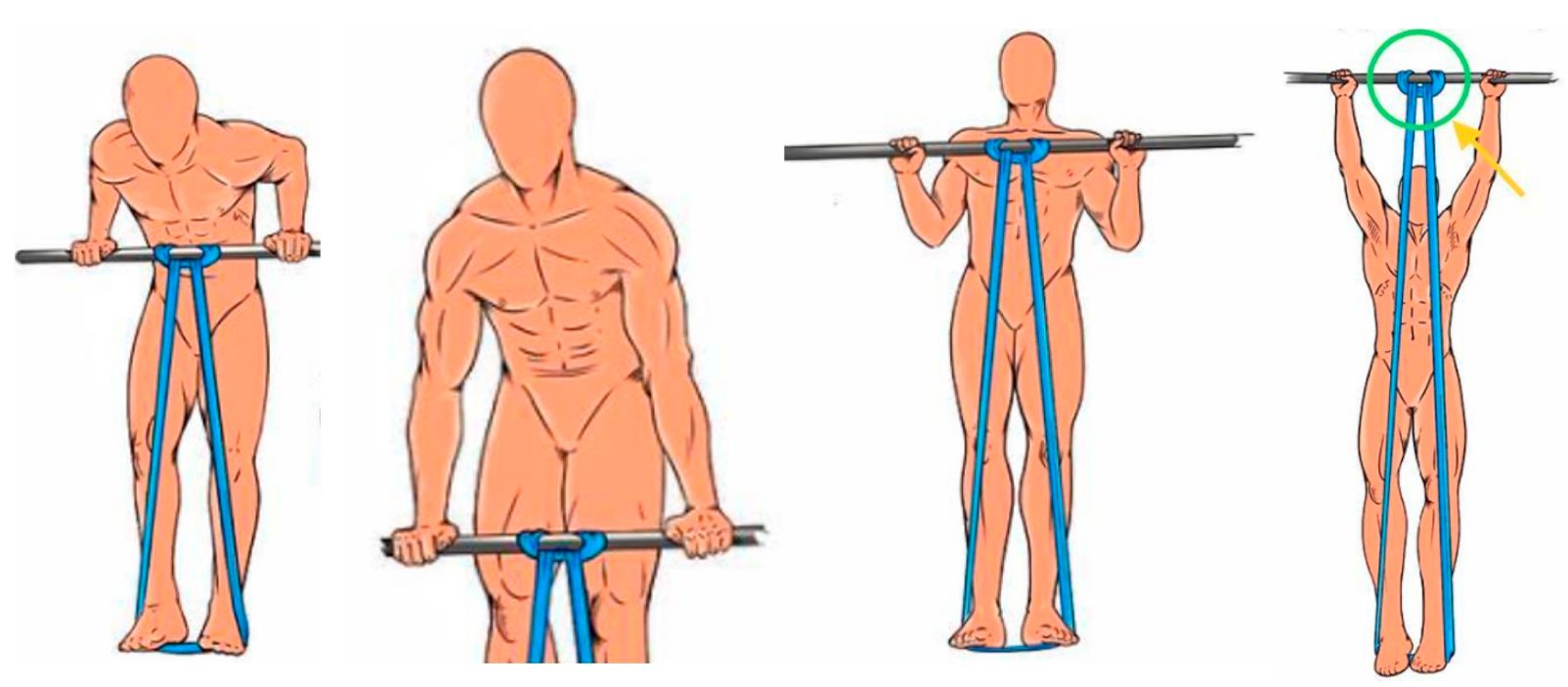 gomas-muscle-up.jpg