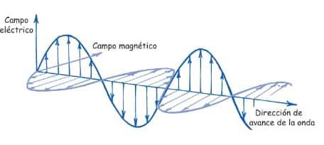 Fuente: Hewitt (2007)