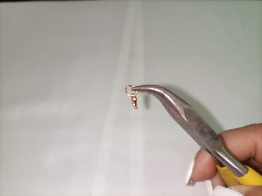 WhatsApp Image 2025-11-03 at 12.47.58 PM.jpeg