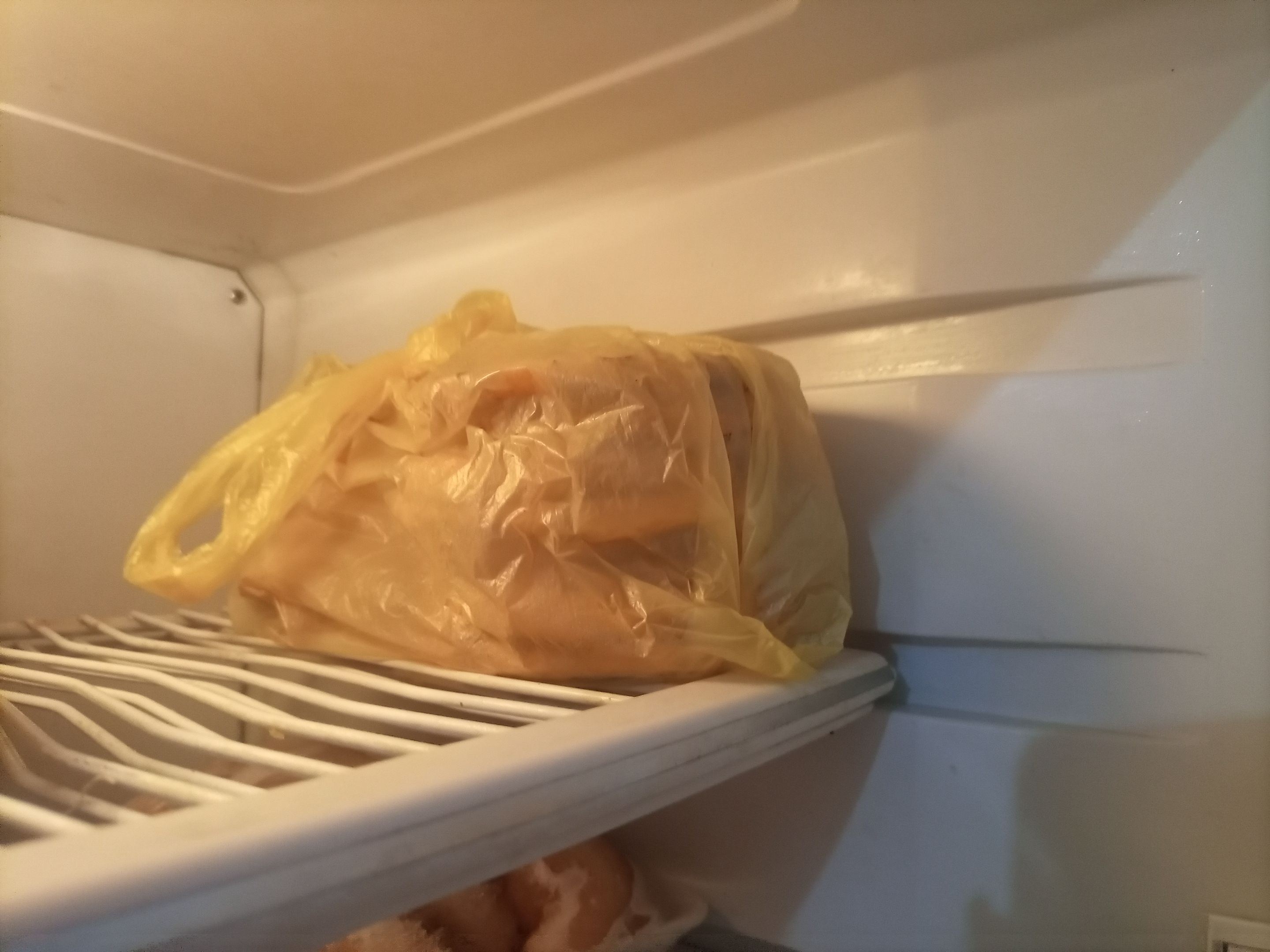 IMG_20251011_103056_656 (1).jpg