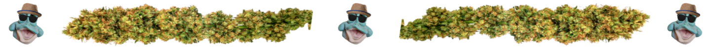 Separador_rana_3.png