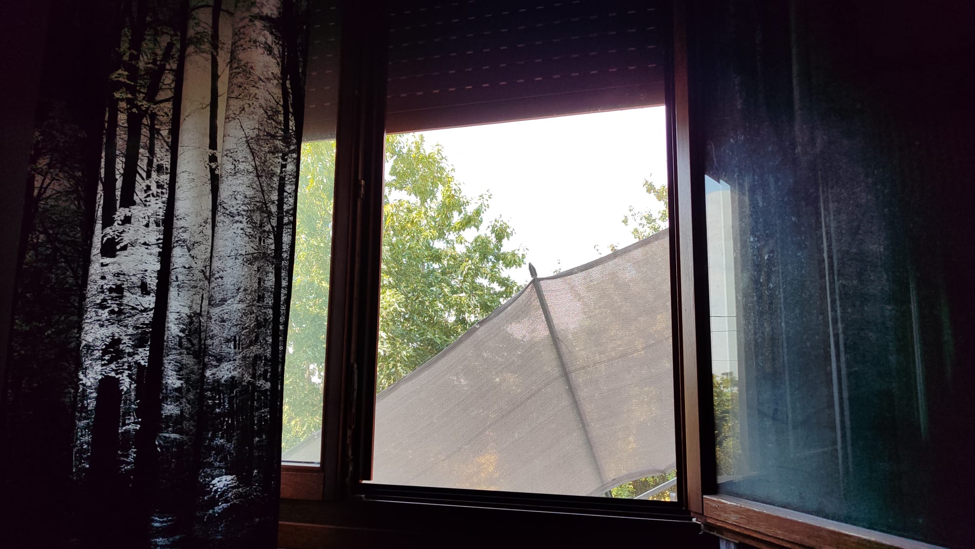 Whats…
Payout: 0.000 HBDI'm trapped
2025-09-16 10:37![WhatsApp Image 2025-09-16 at 11.27.12.jpeg