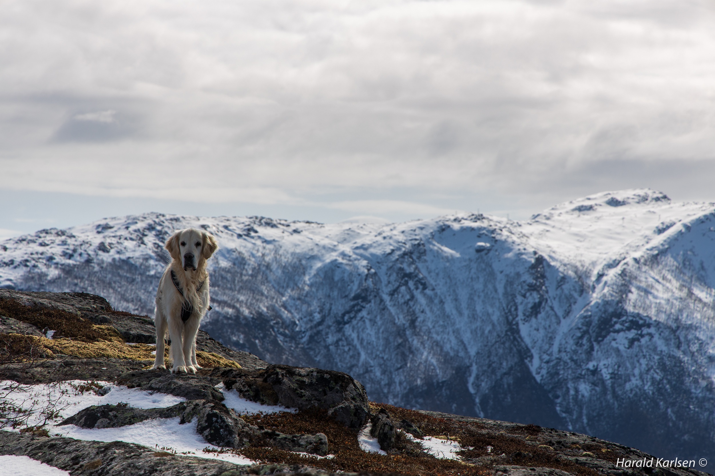 On the top-6.jpg