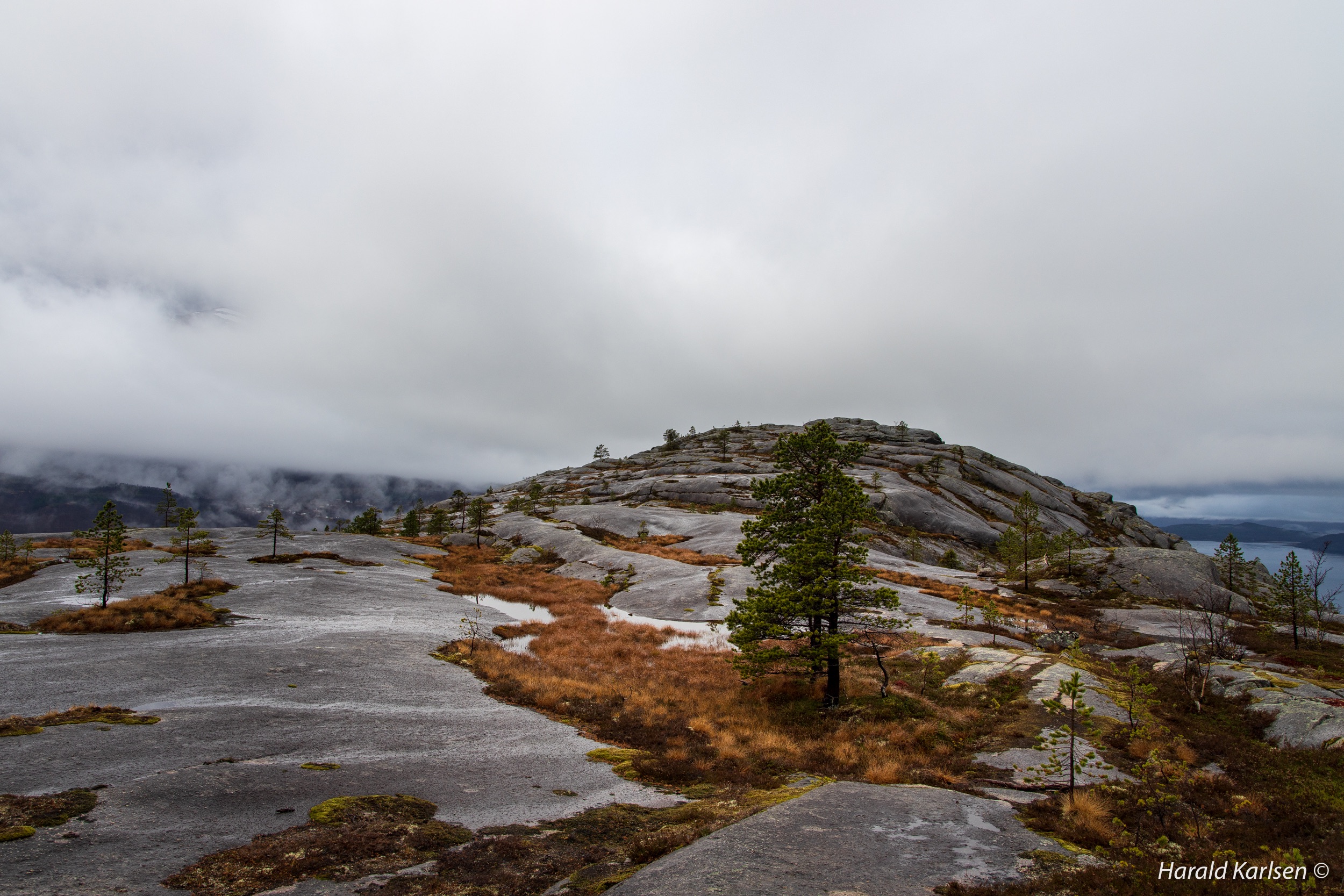 Lakselvvannet-17.jpg