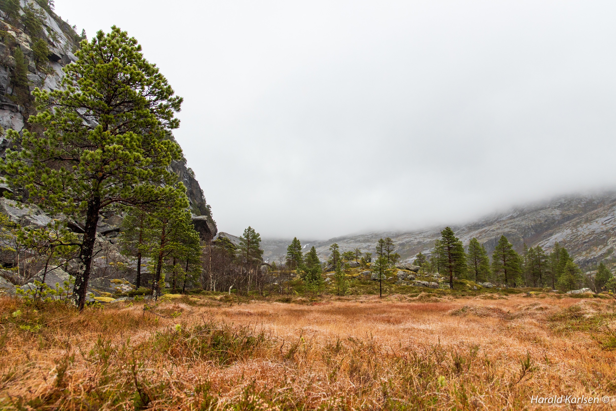 Lakselvvannet-4.jpg