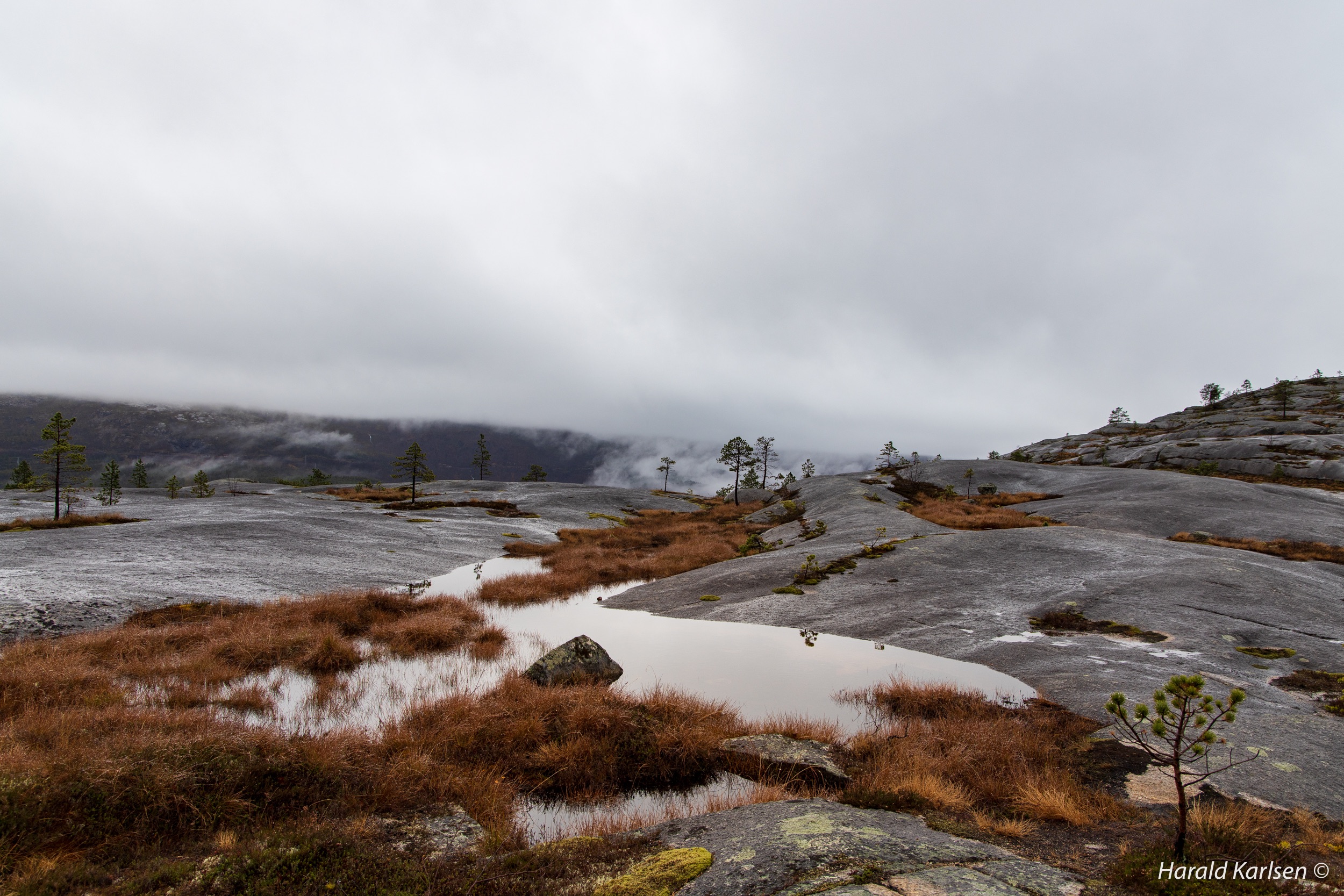 Lakselvvannet-16.jpg