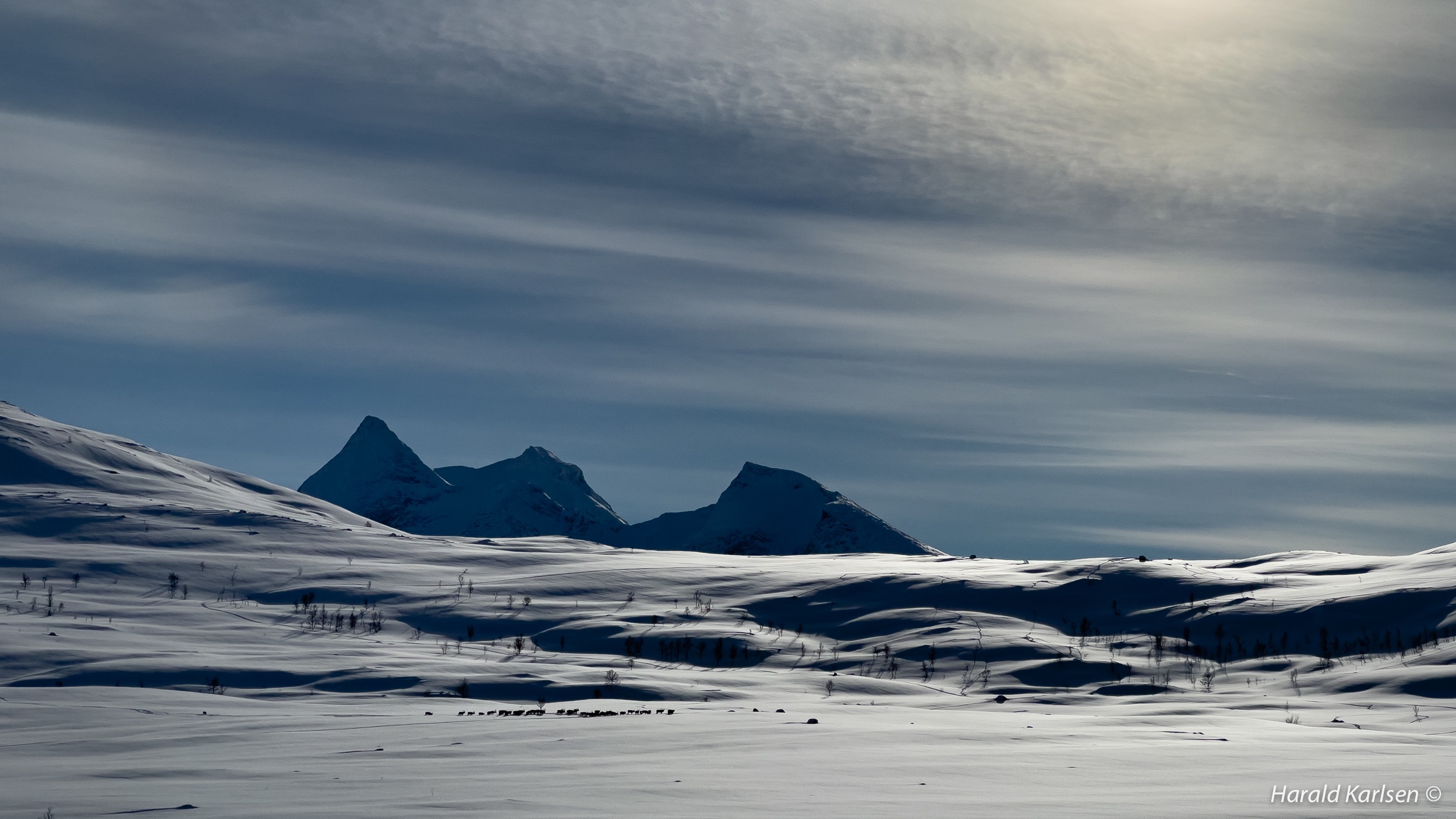 Sildvikfjellet.jpg