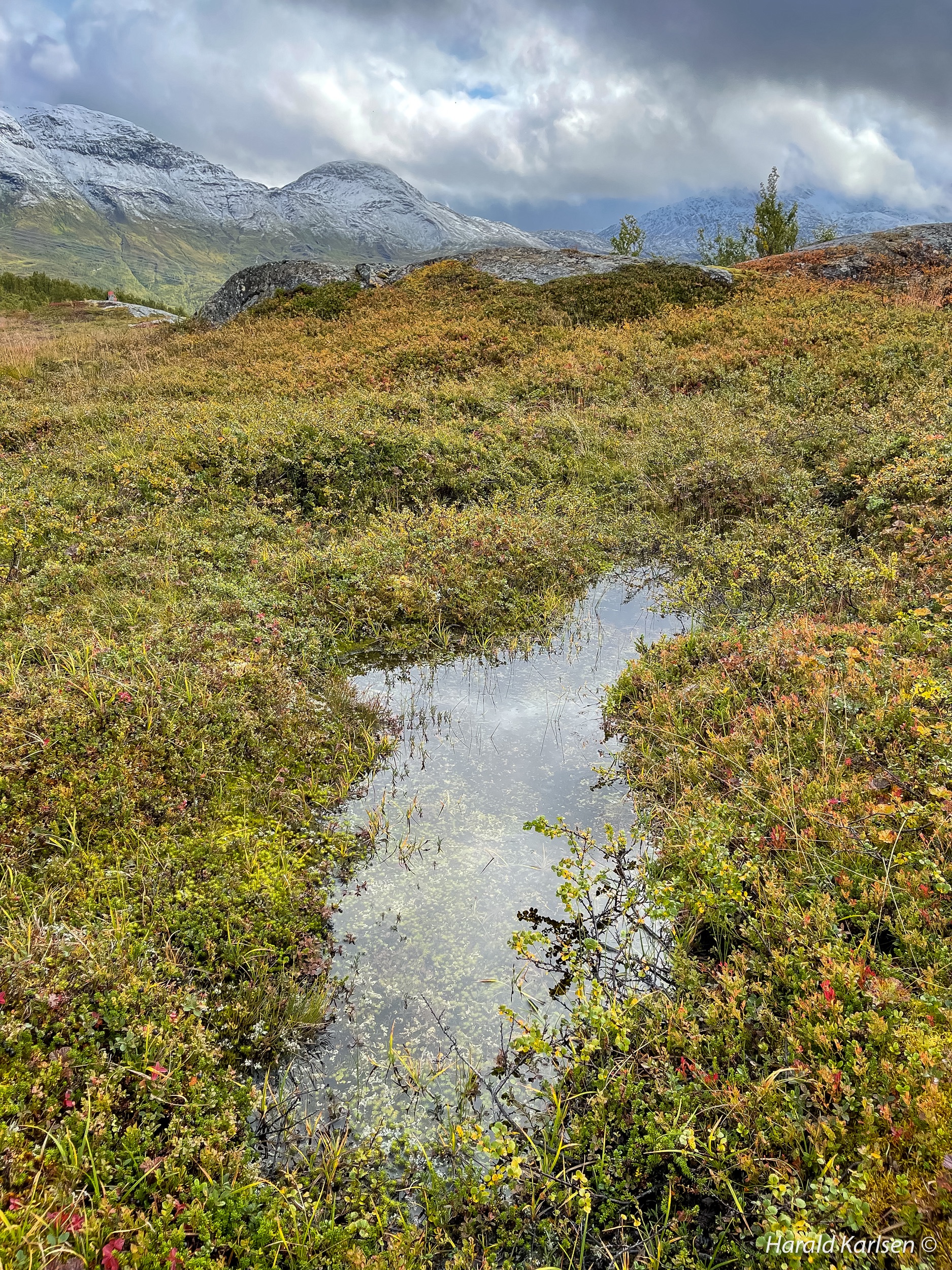 Autumn-10.jpg