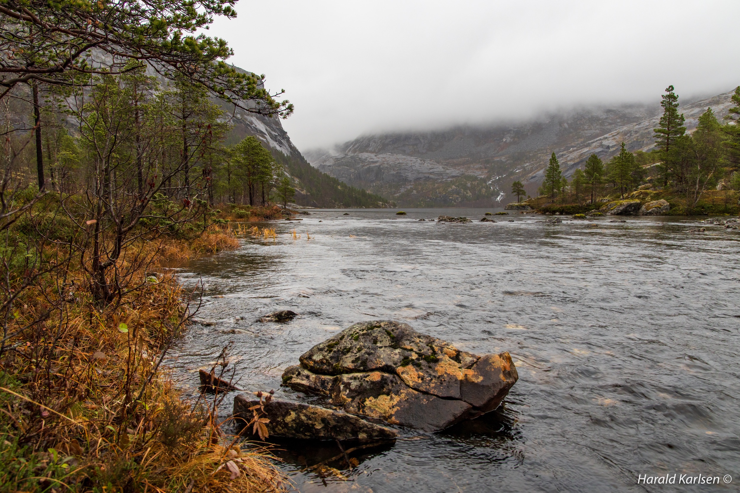 Lakselvvannet-7.jpg