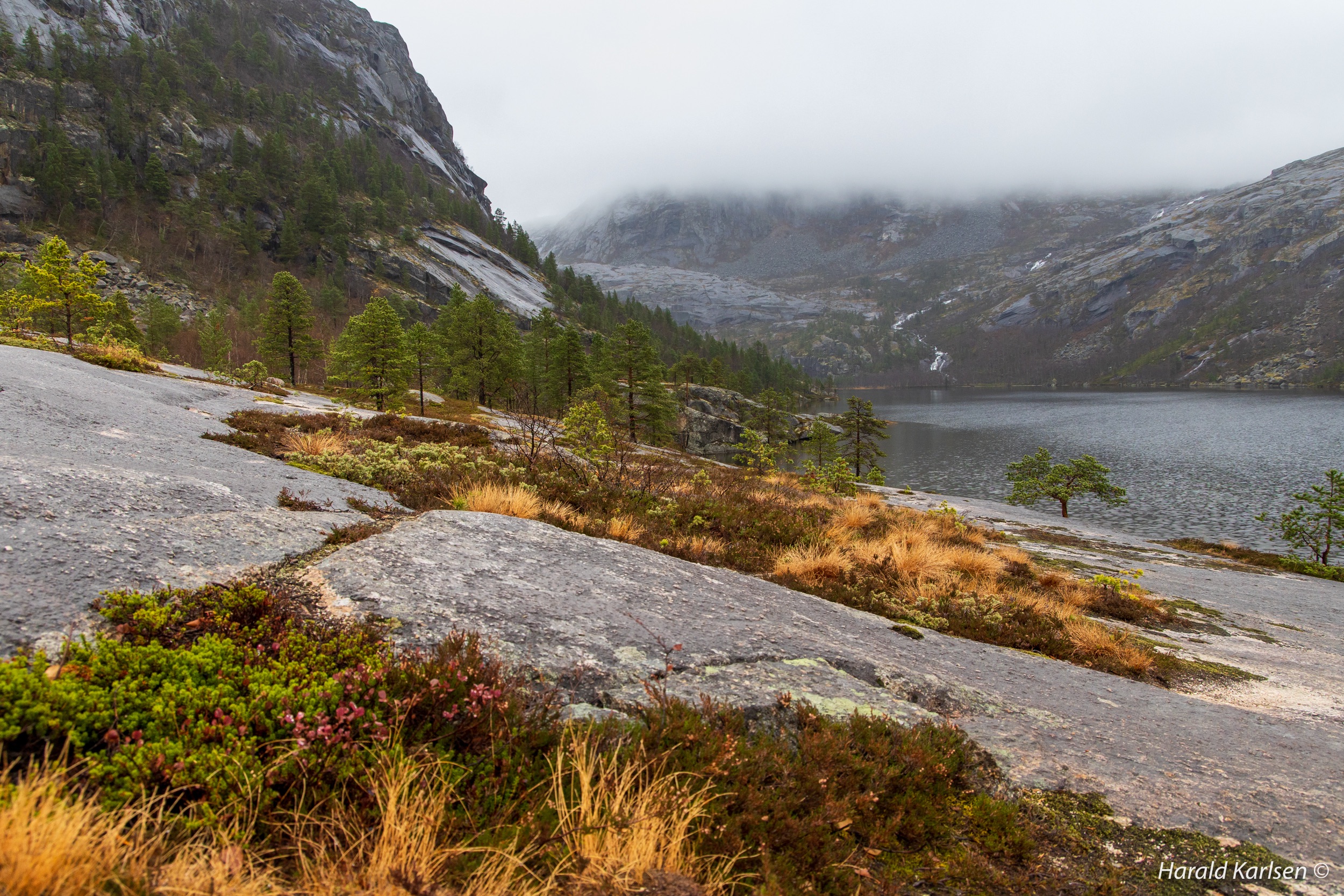Lakselvvannet-6.jpg