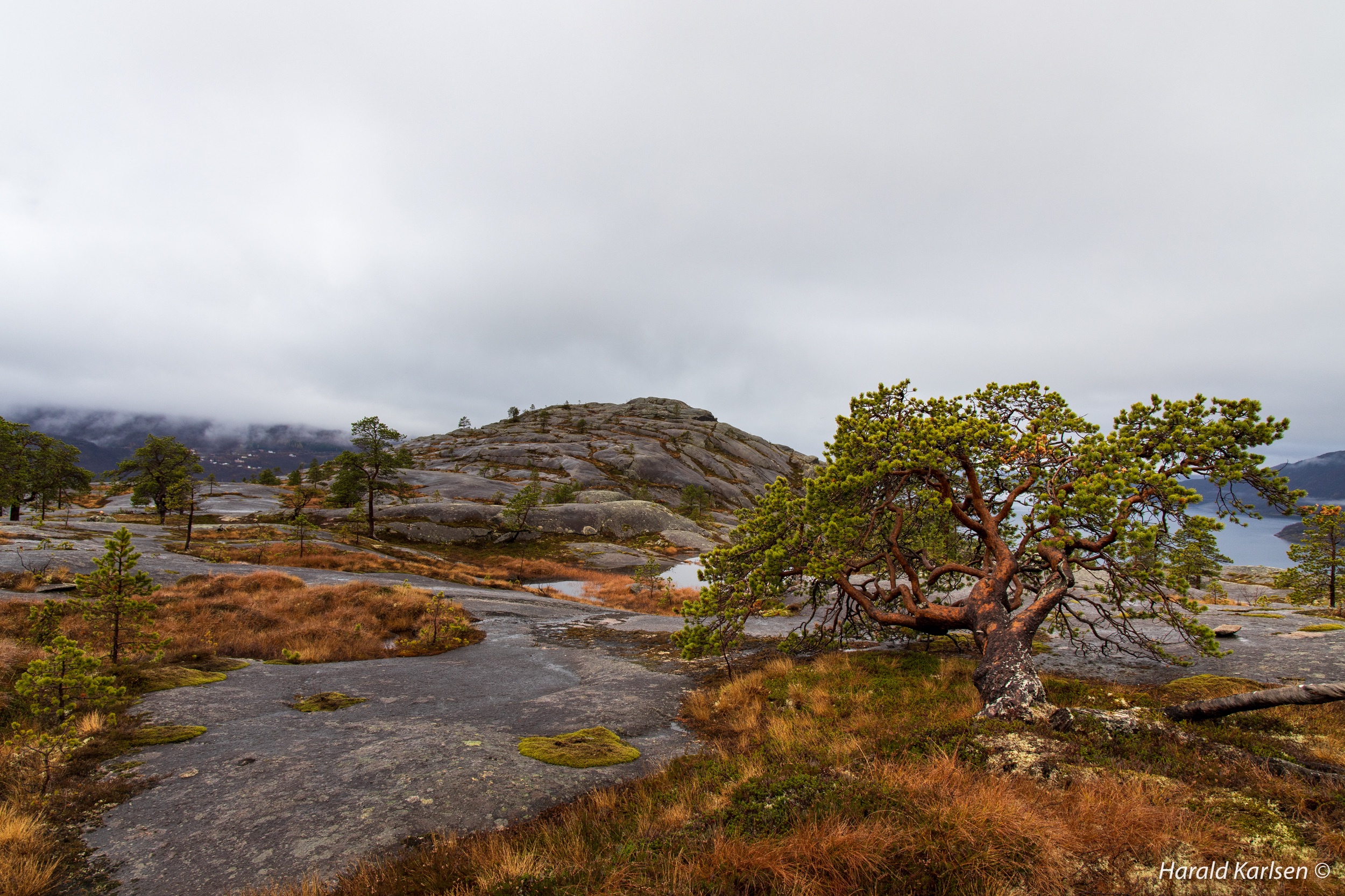 Lakselvvannet-18.jpg