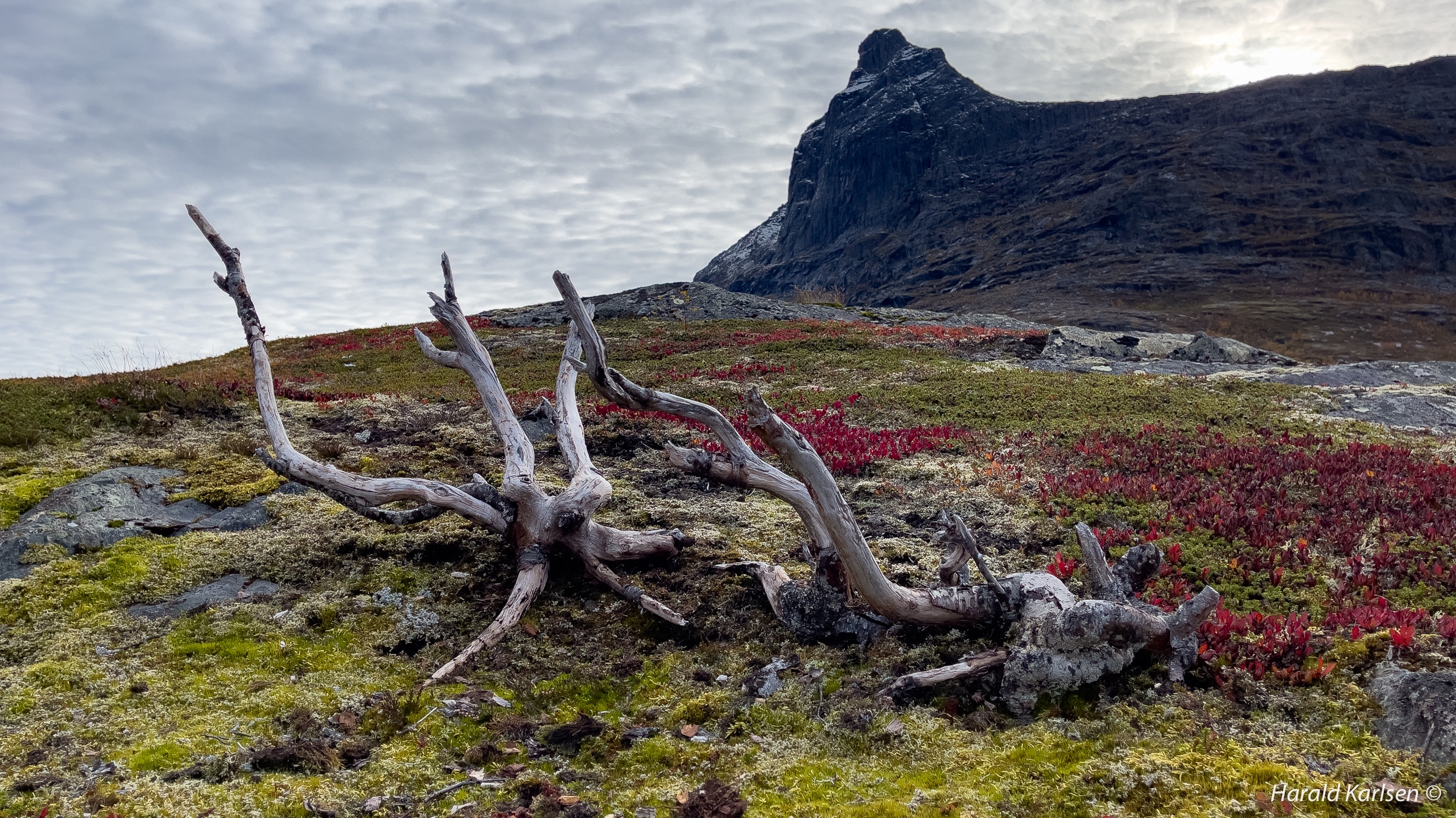 Høstfjell-12.jpg