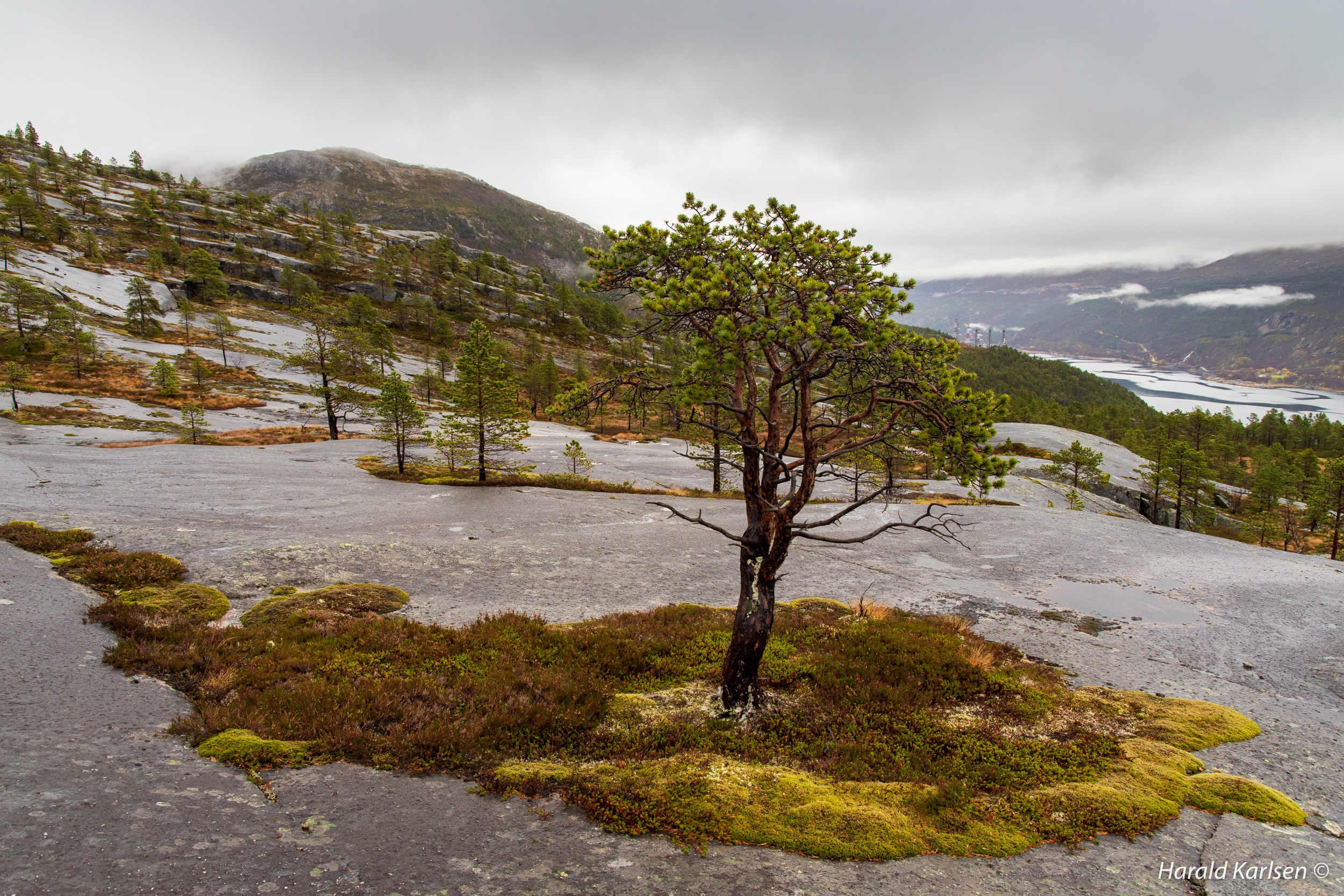 Lakselvvannet-14.jpg