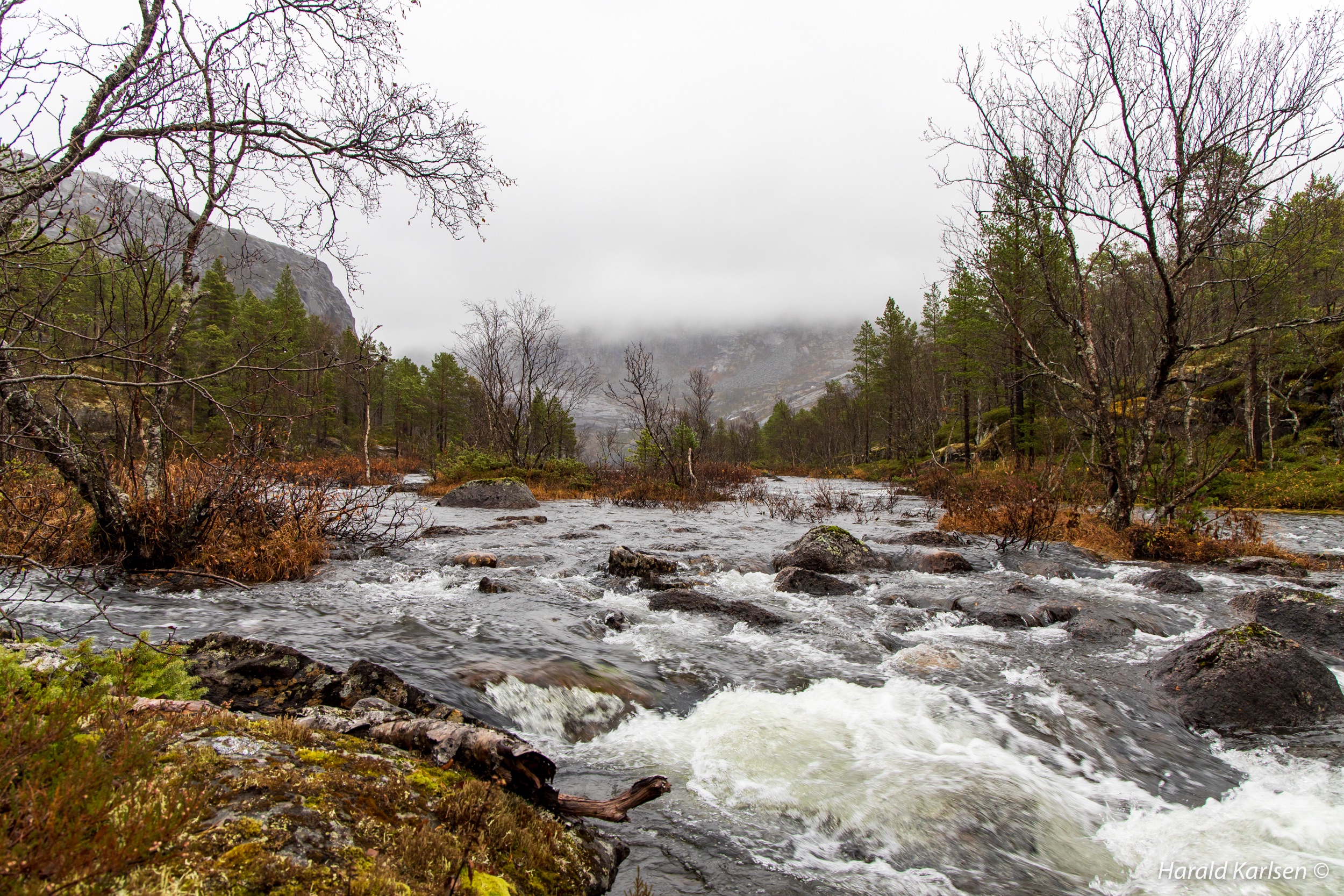 Lakselvvannet-10.jpg